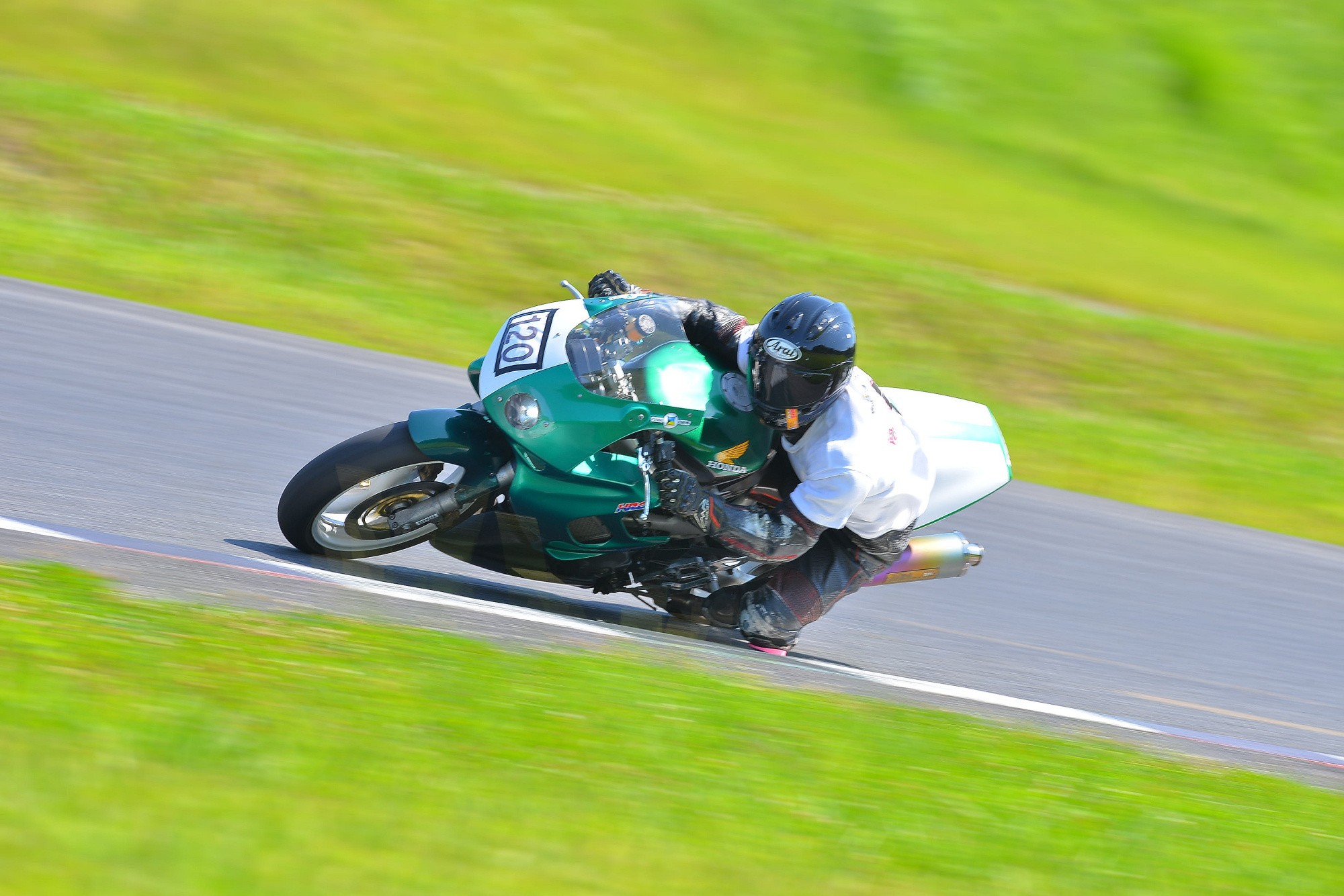 D8J_1217.JPG