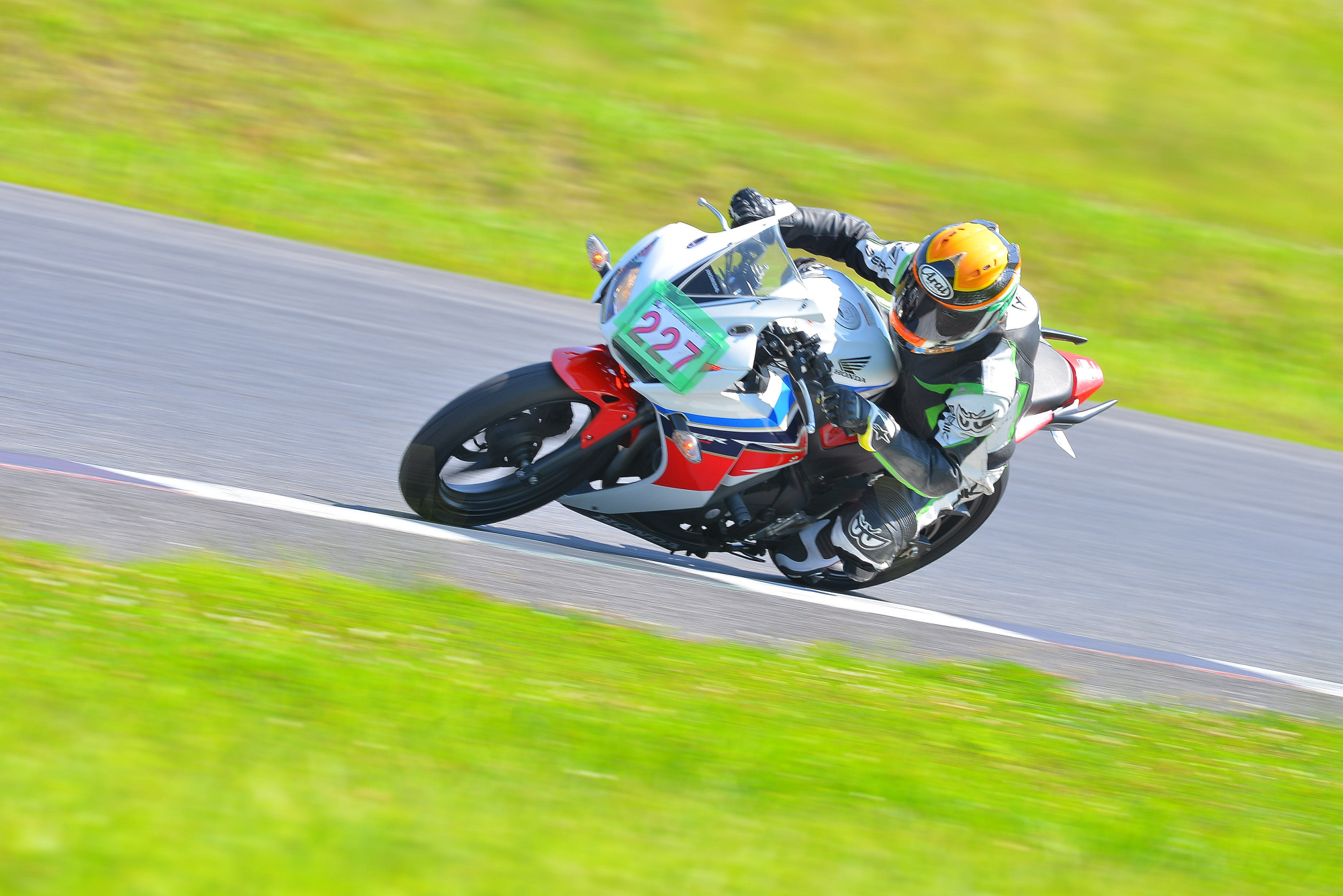 D8J_1229.JPG