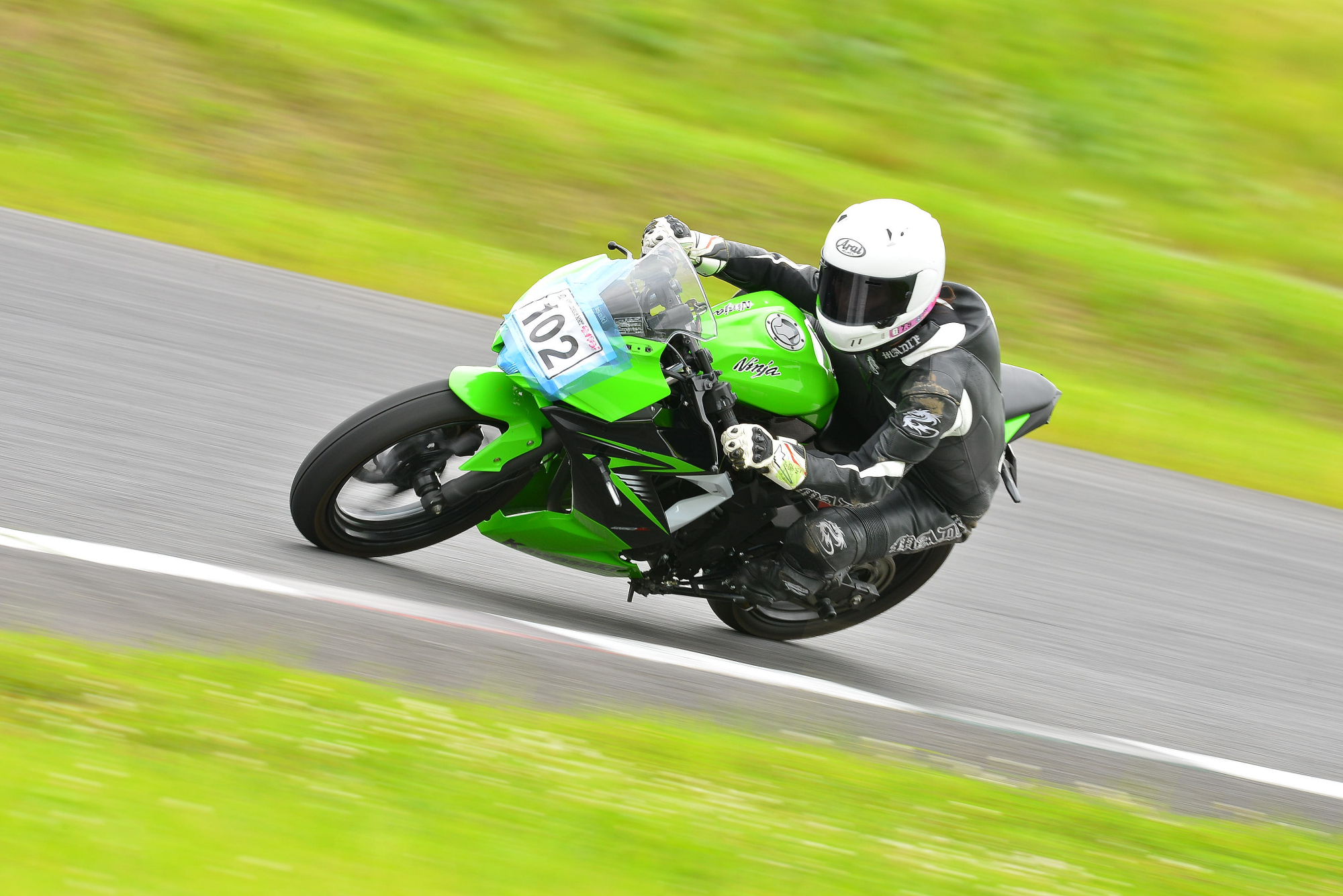 D8J_0169.JPG