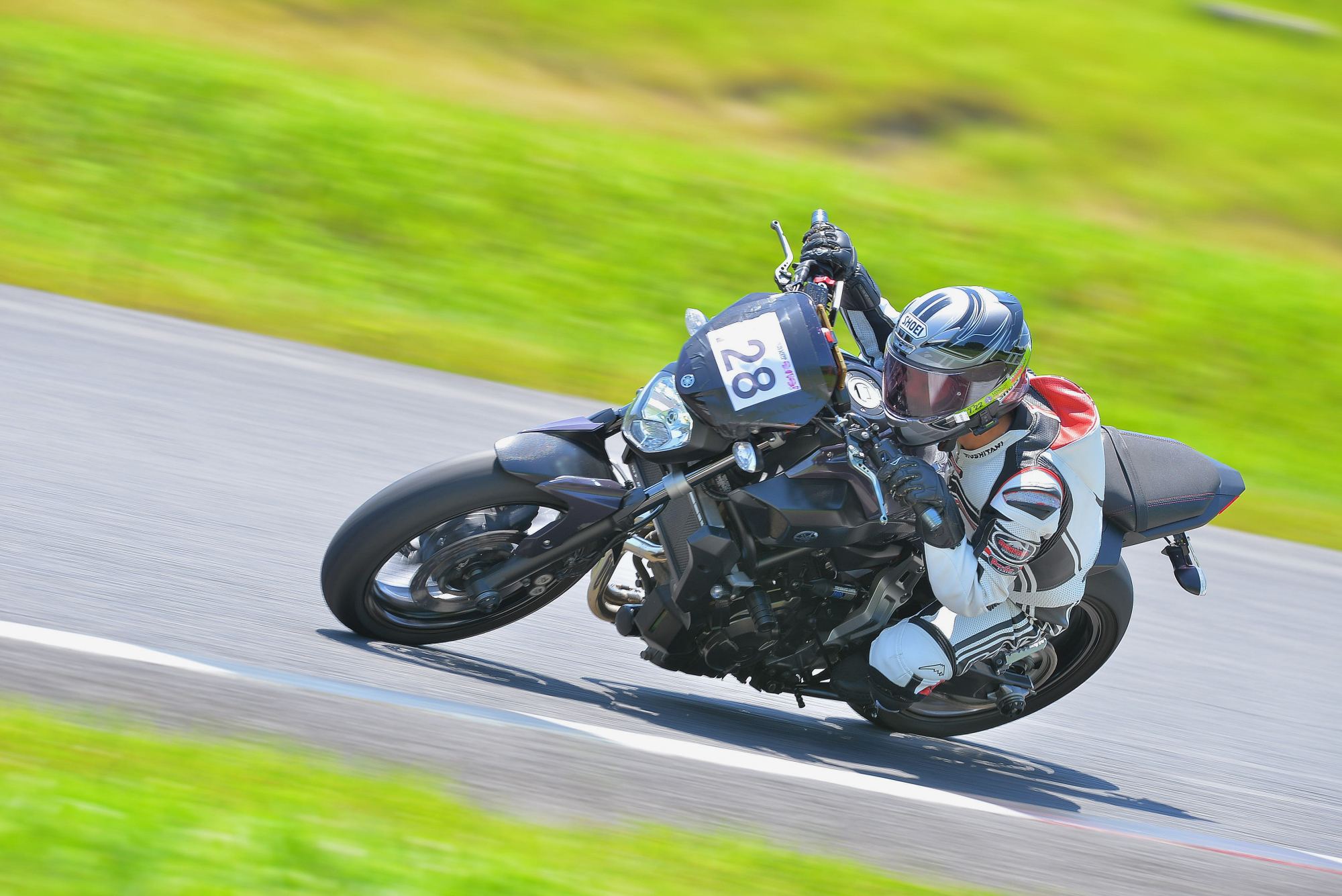 D8J_0228.JPG