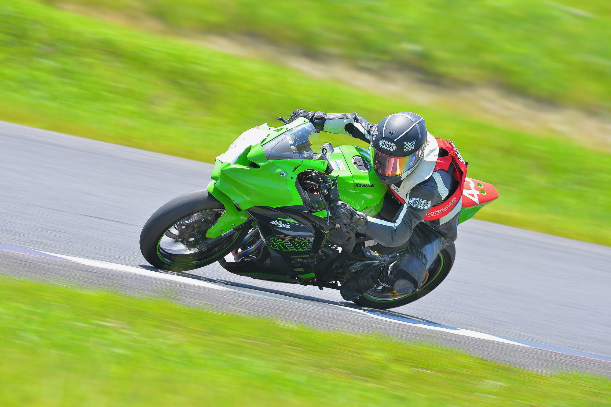 D8J_0238.JPG