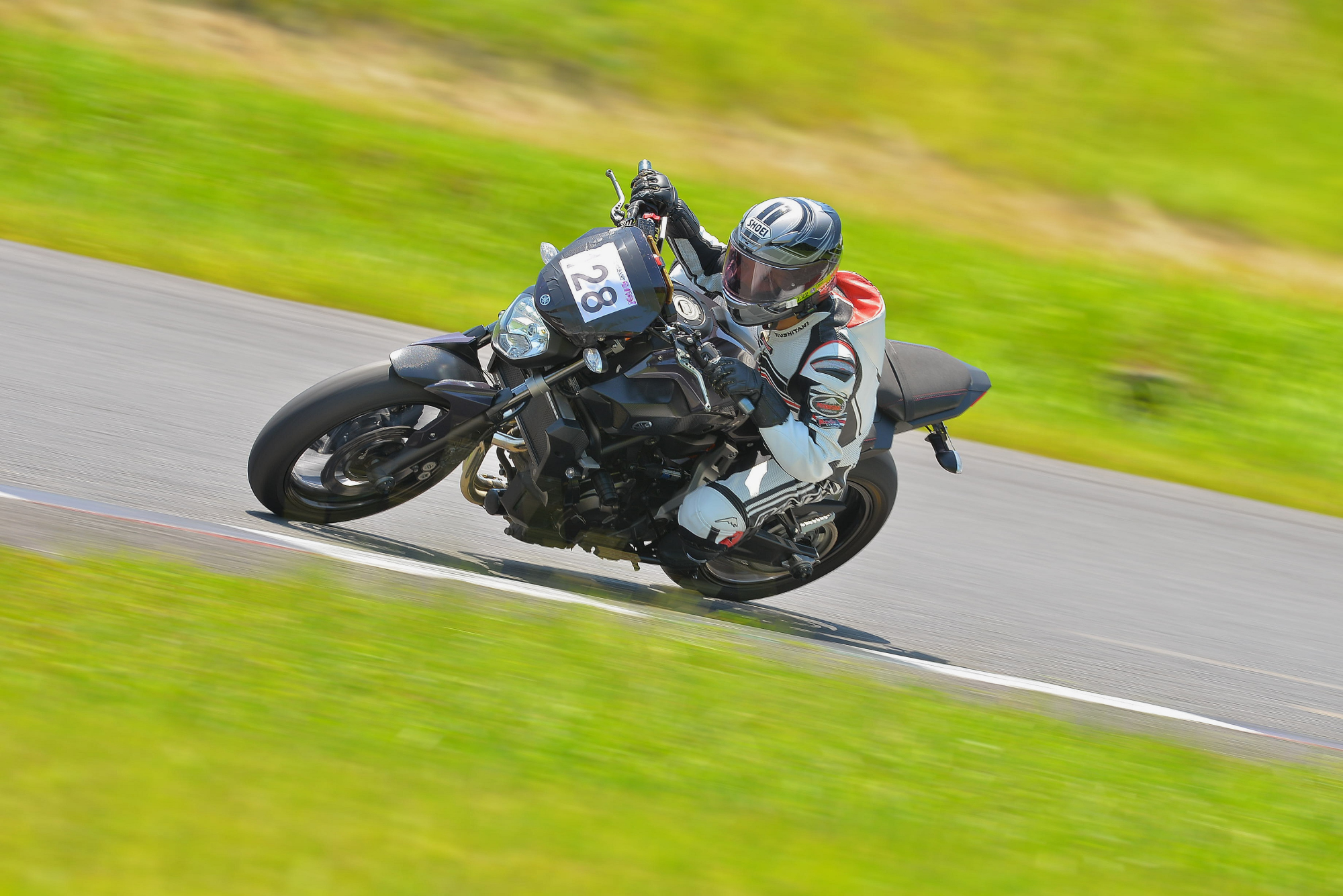 D8J_0284.JPG