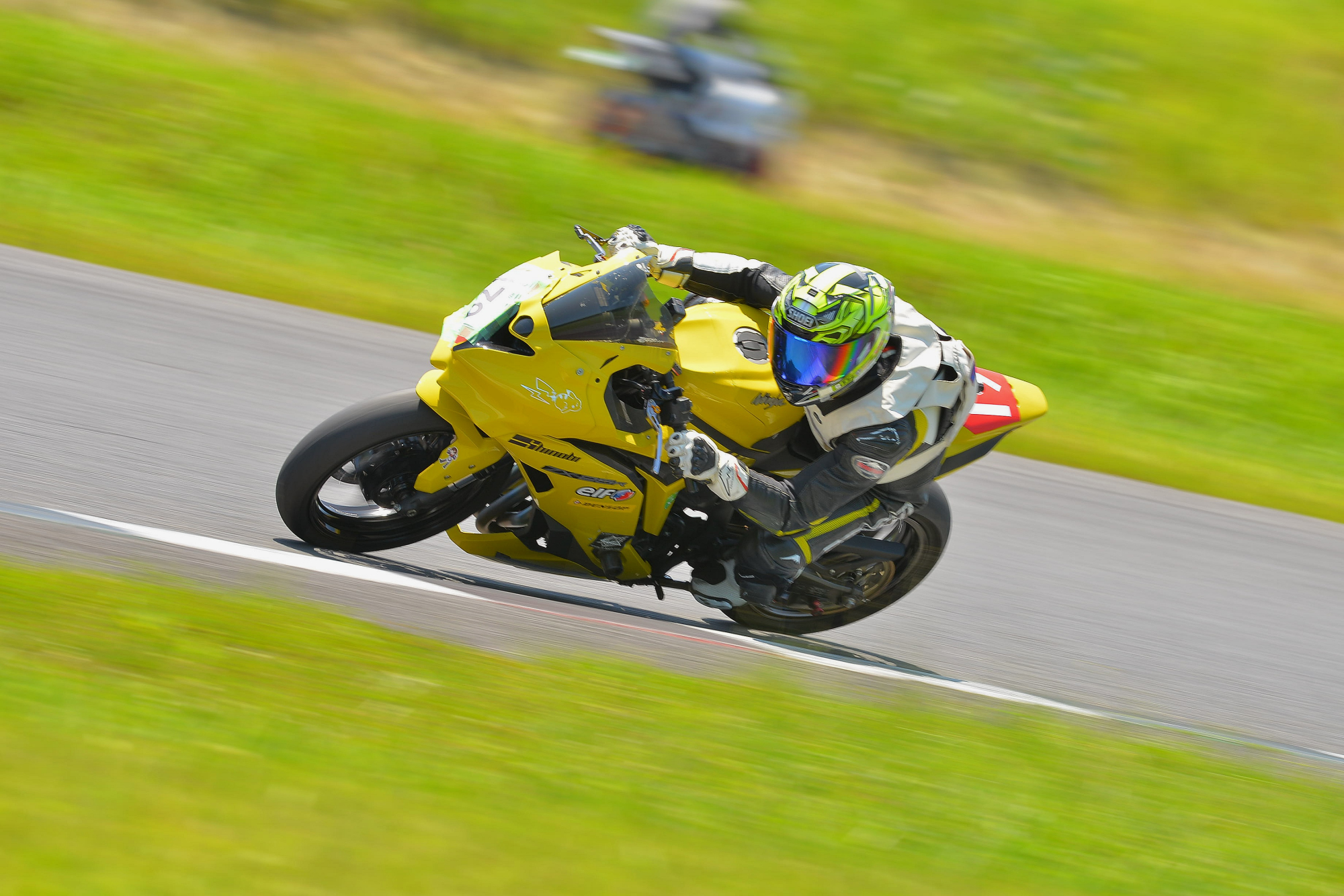 D8J_0286.JPG