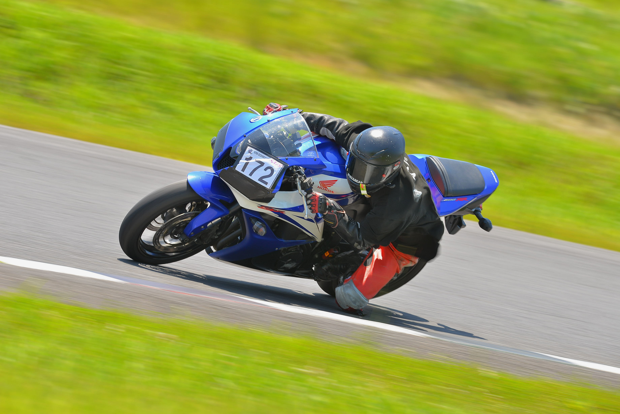 D8J_0293.JPG