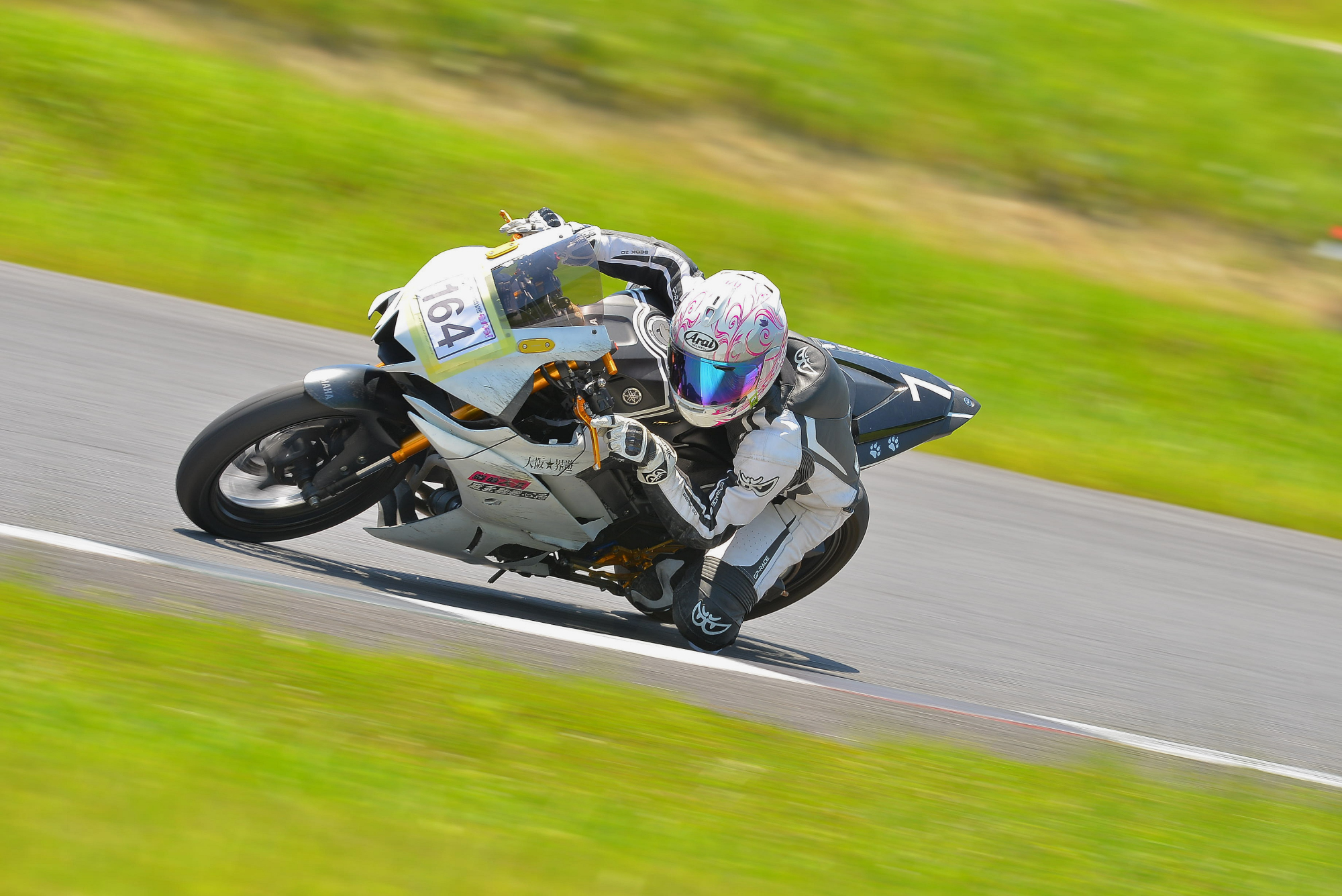 D8J_0294.JPG