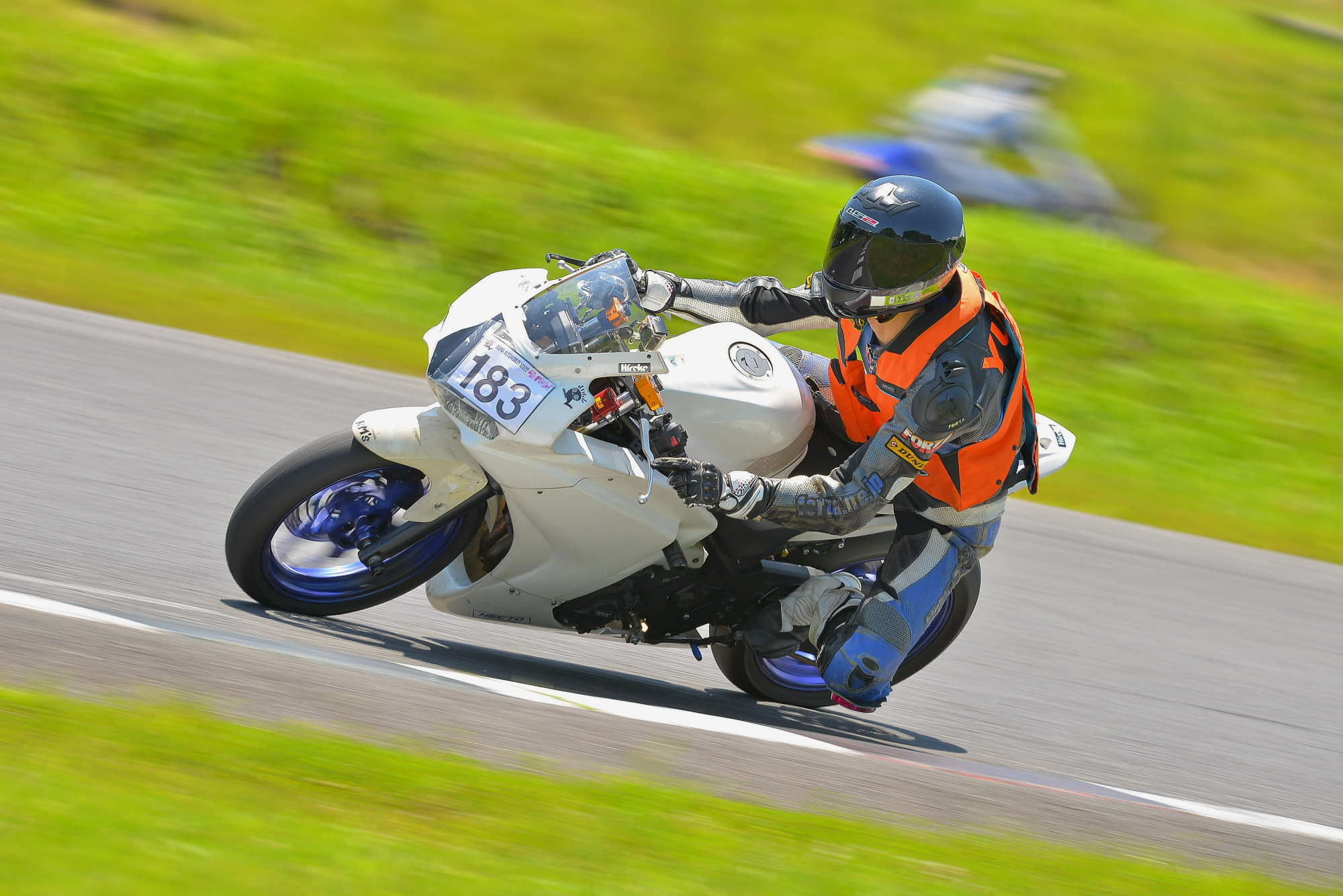D8J_0296.JPG