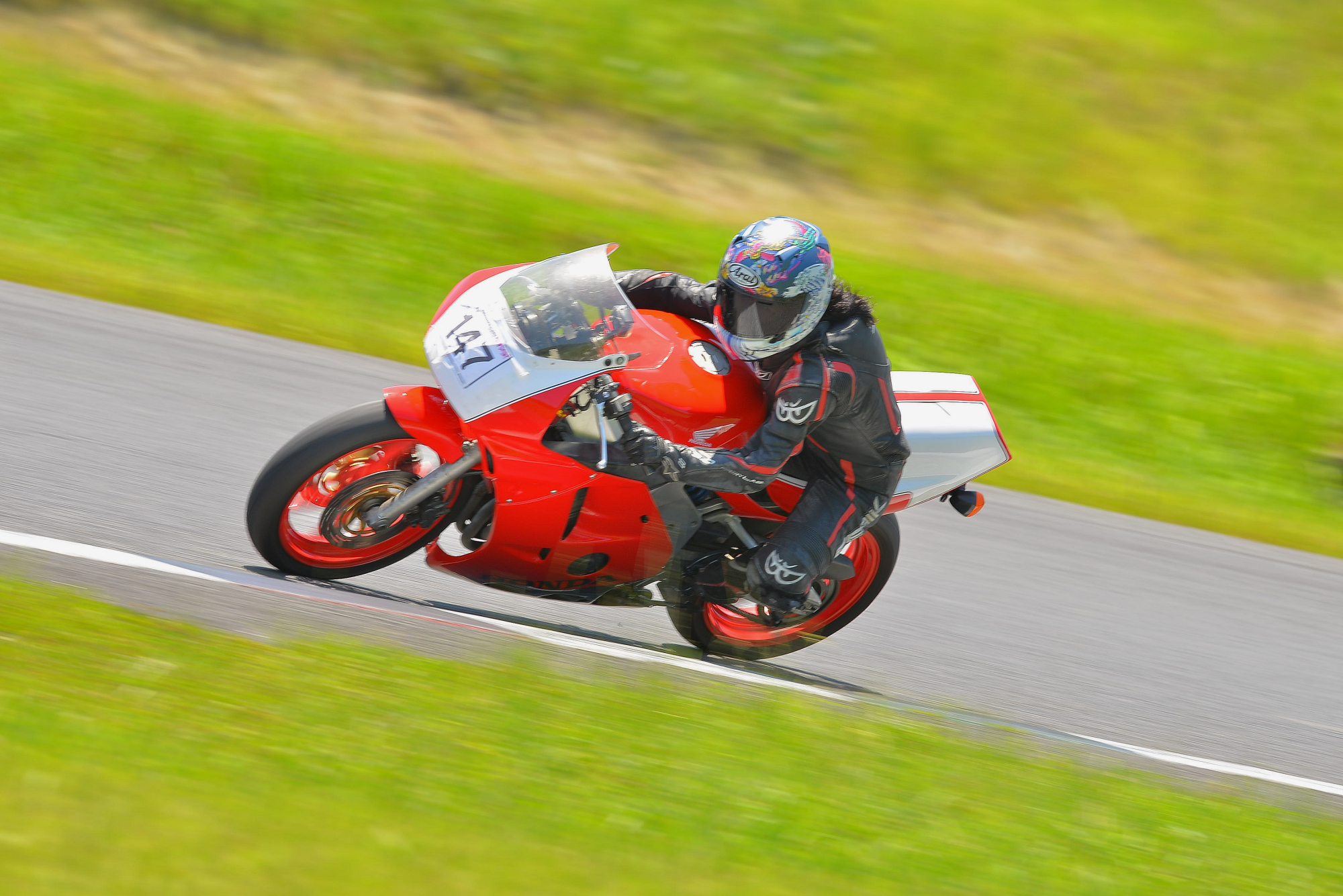 D8J_0297.JPG