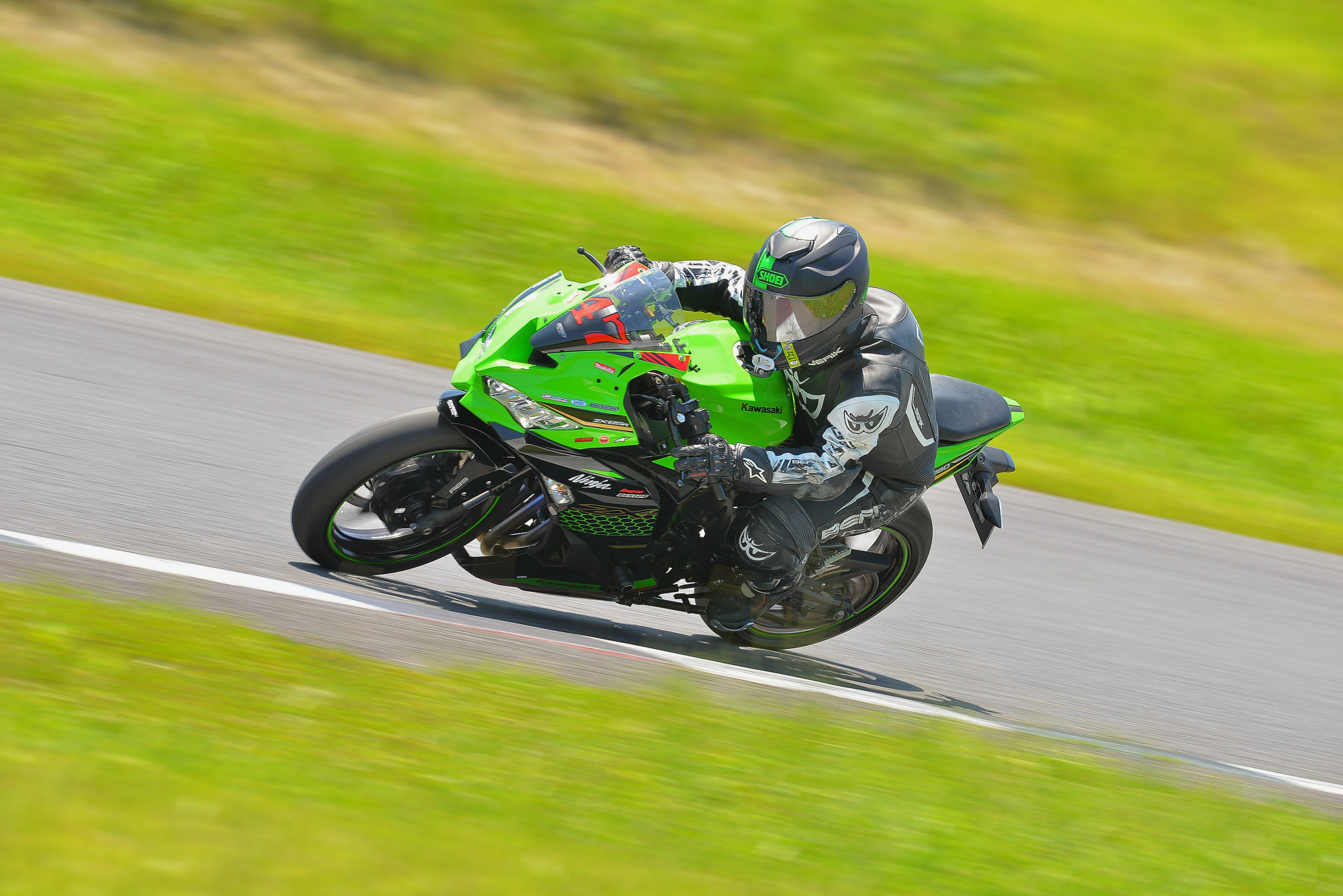 D8J_0311.JPG