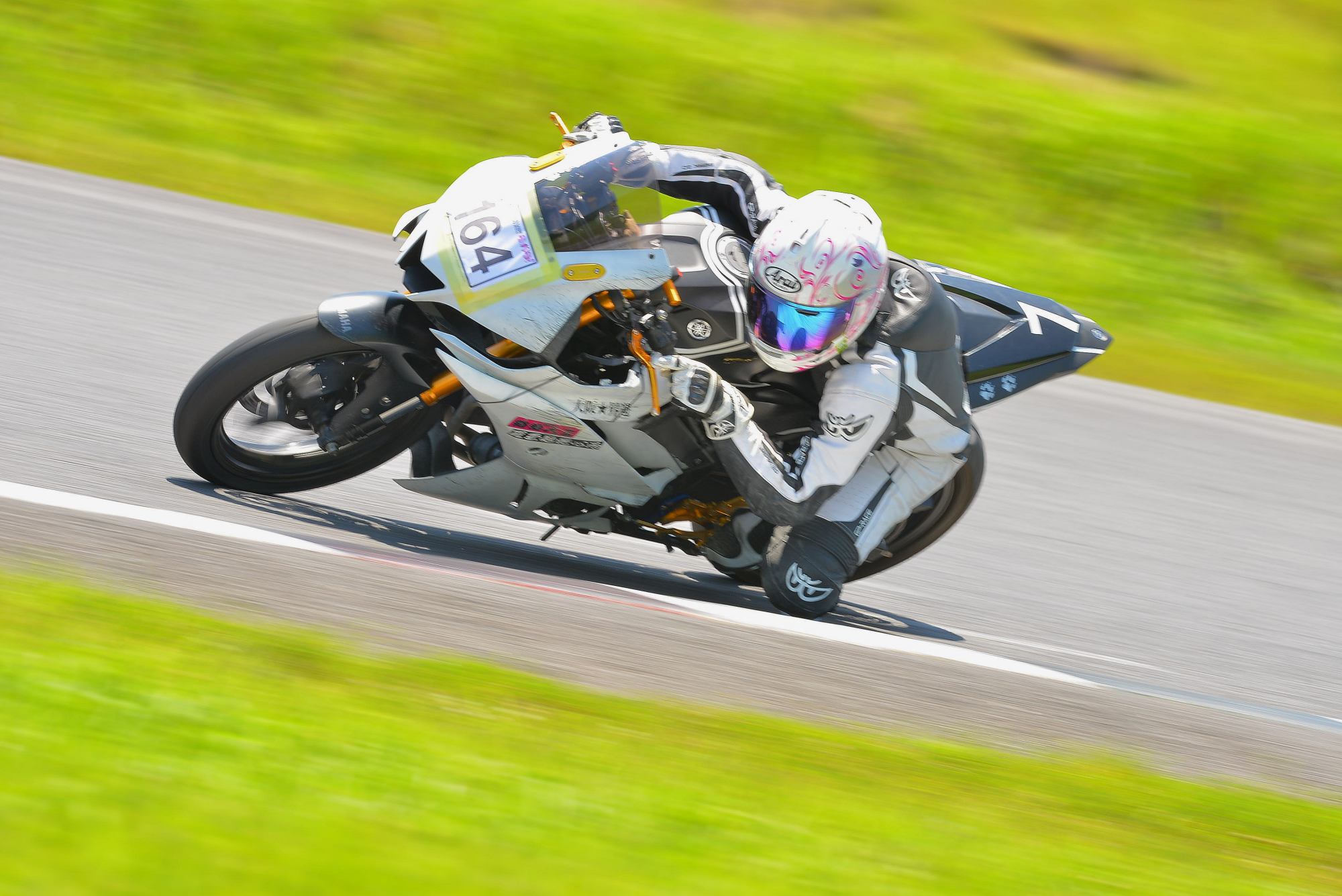 D8J_0395.JPG