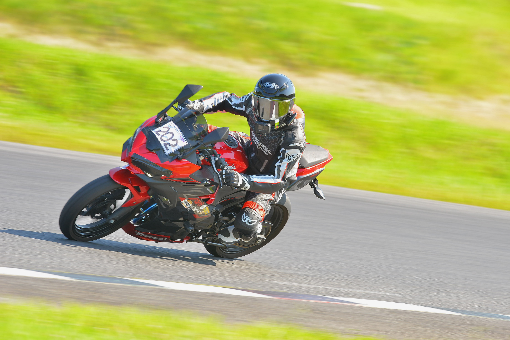 D8J_0793.JPG