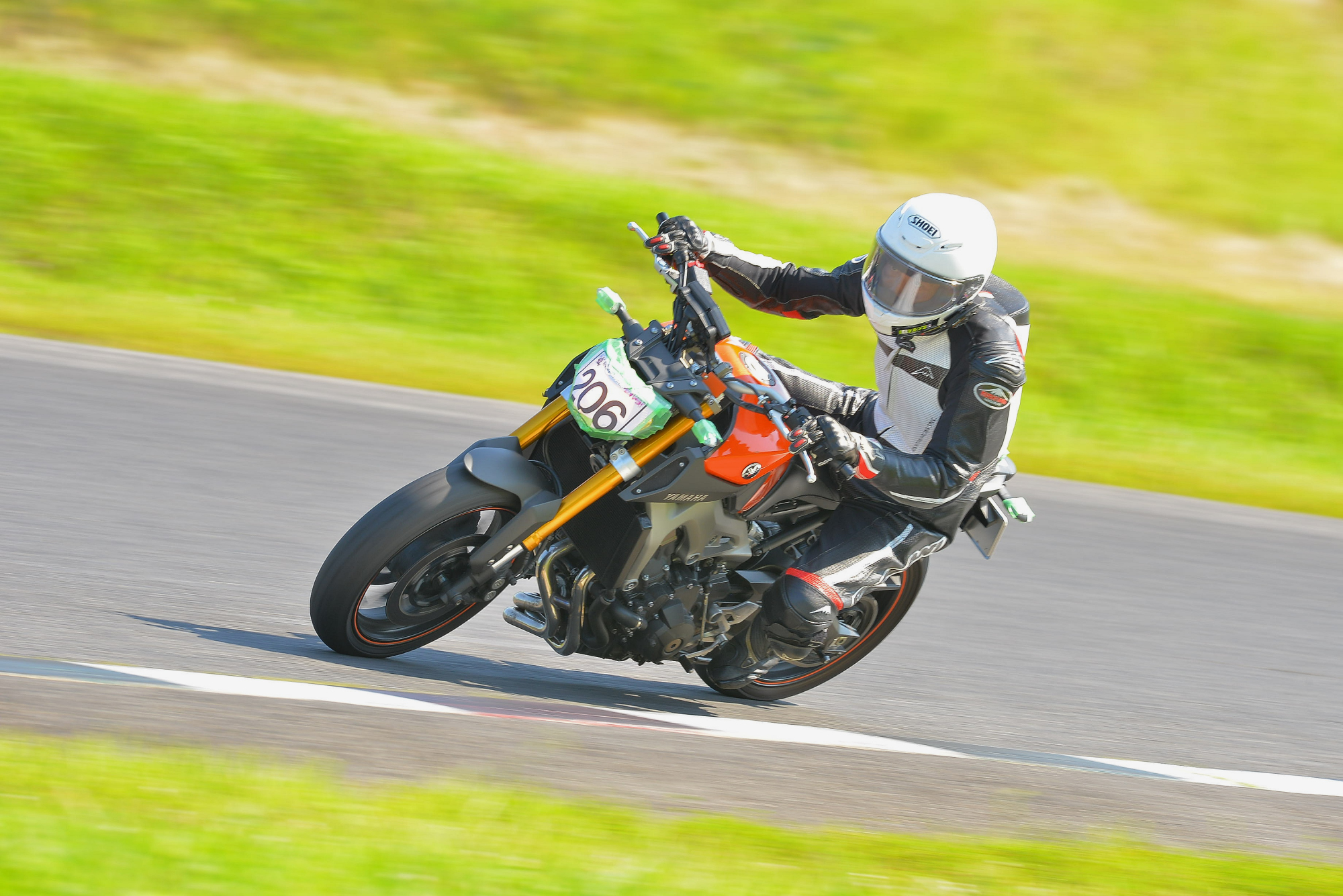 D8J_0797.JPG