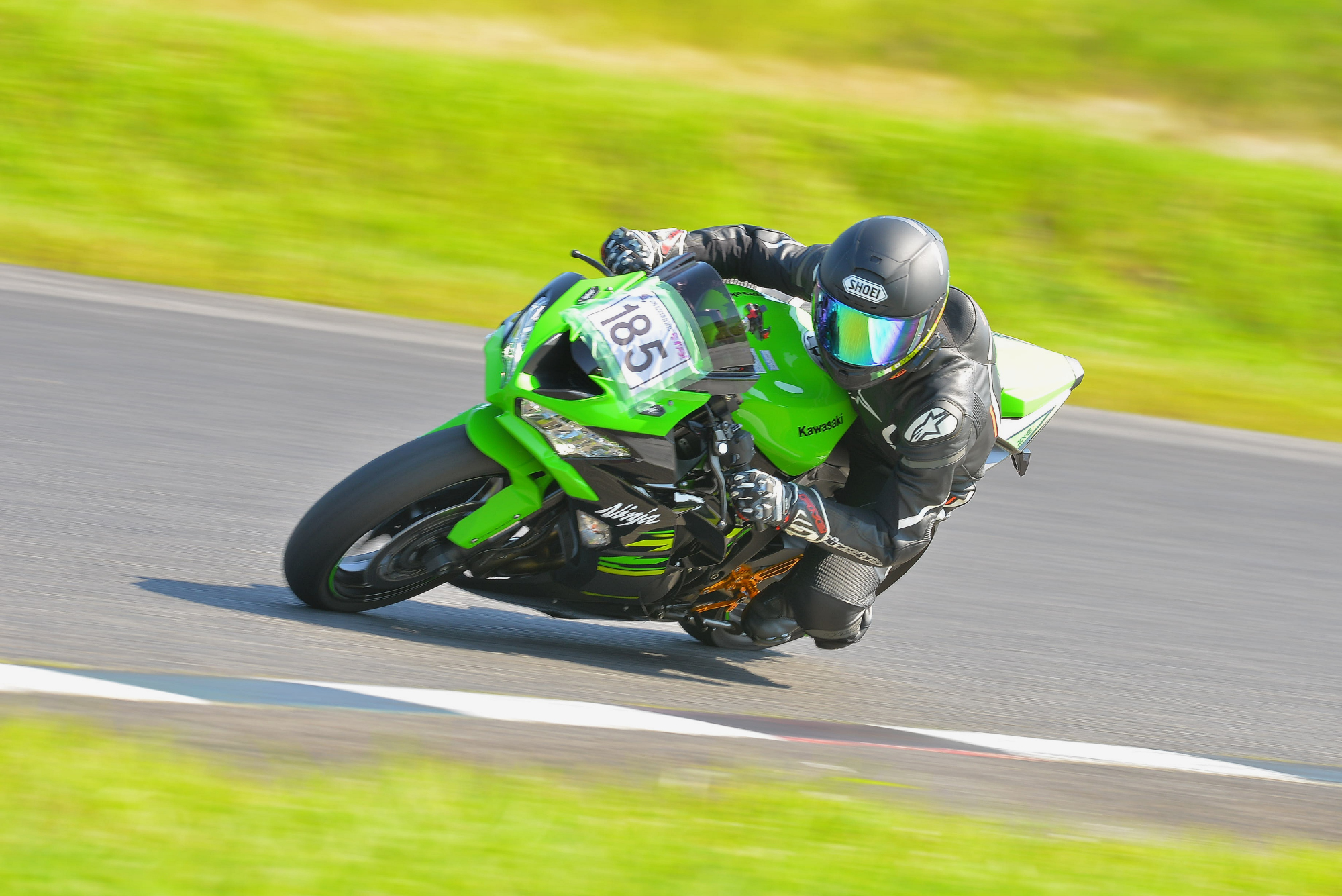 D8J_0798.JPG