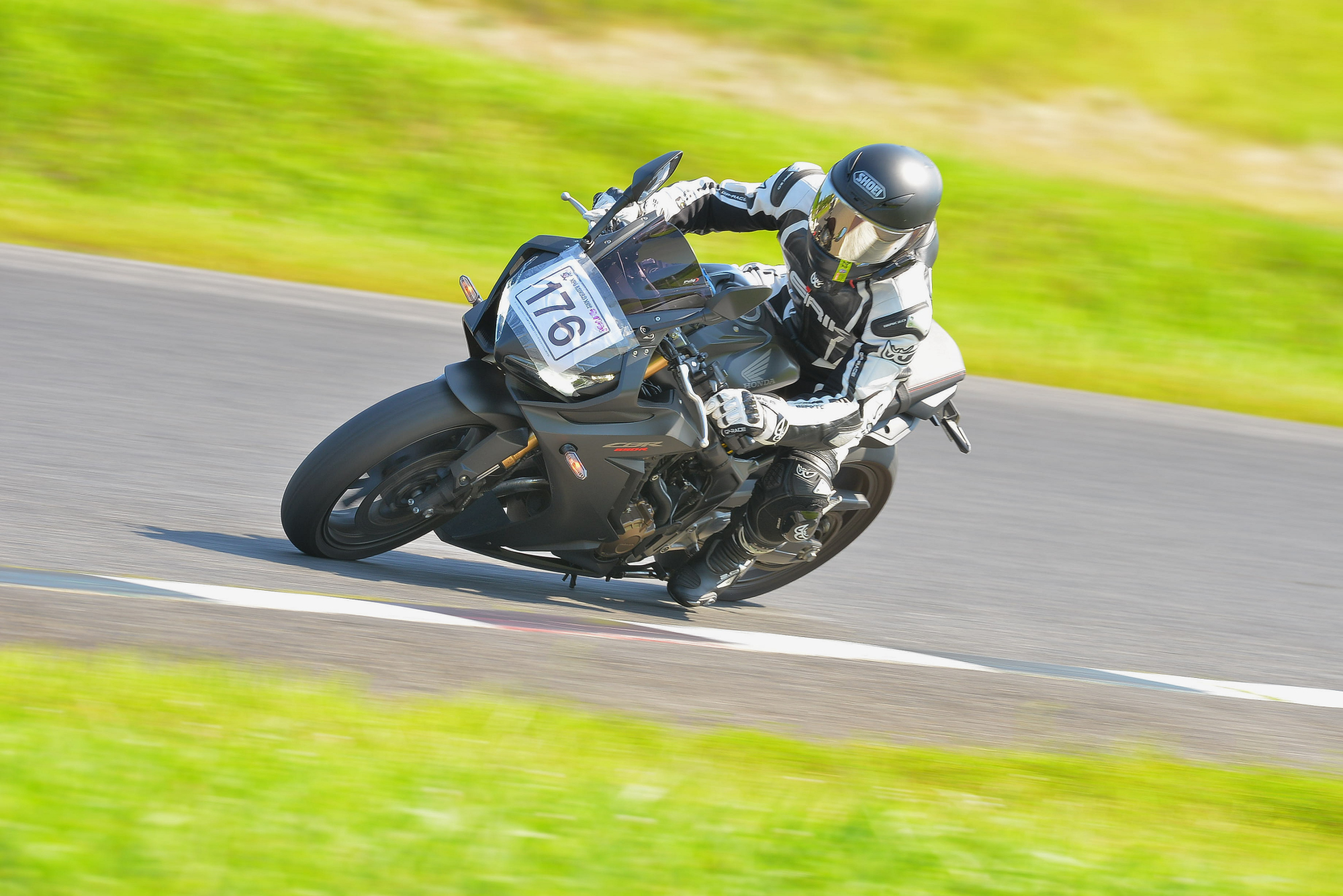 D8J_0803.JPG