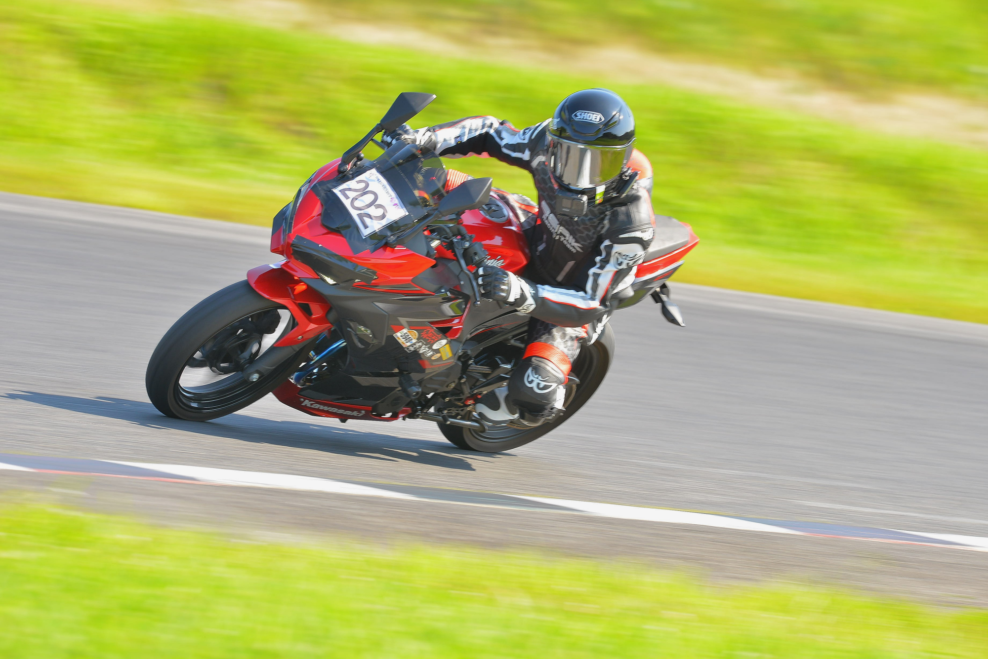 D8J_0812.JPG
