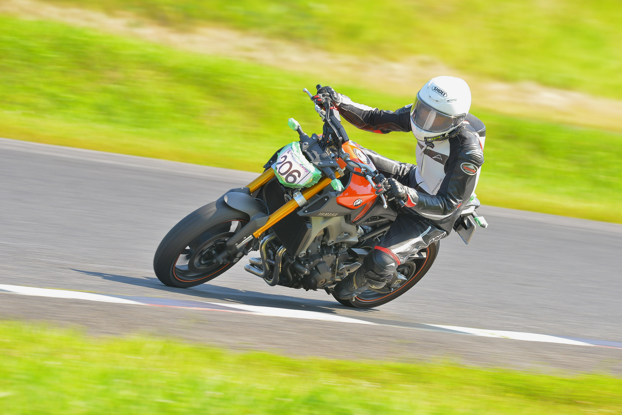 D8J_0817.JPG