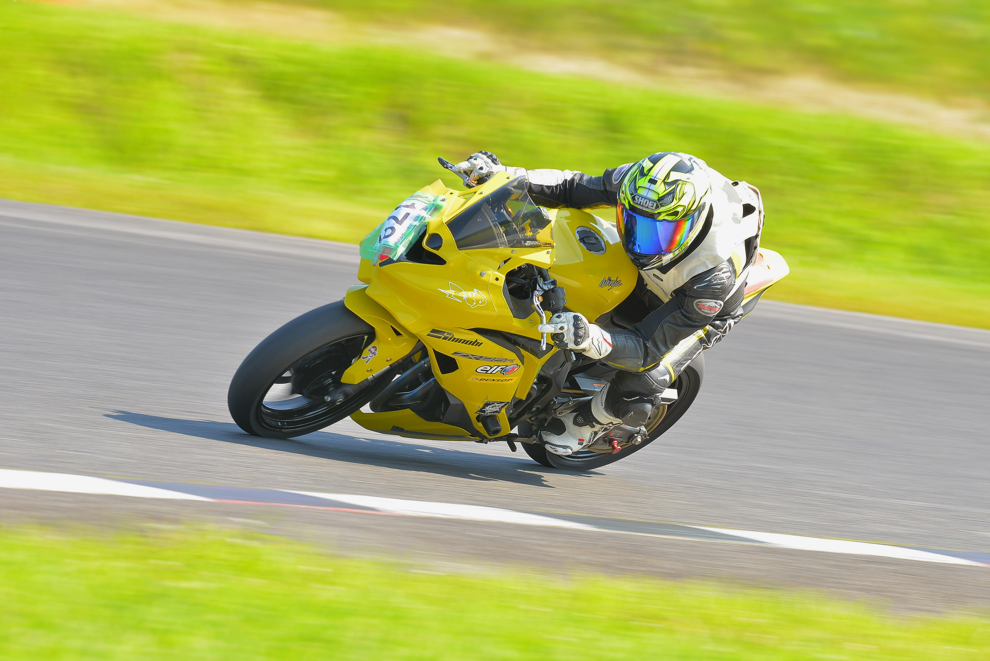 D8J_0826.JPG