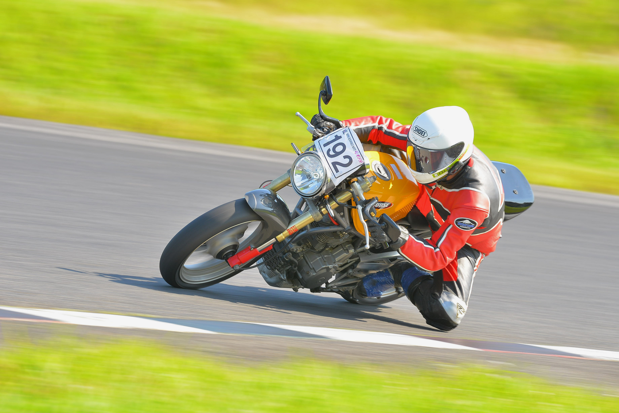 D8J_0828.JPG