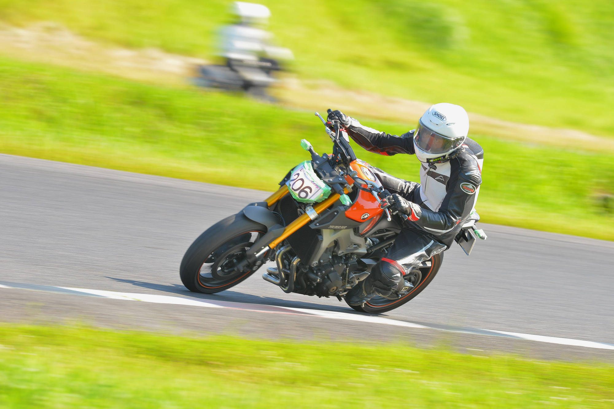 D8J_0841.JPG