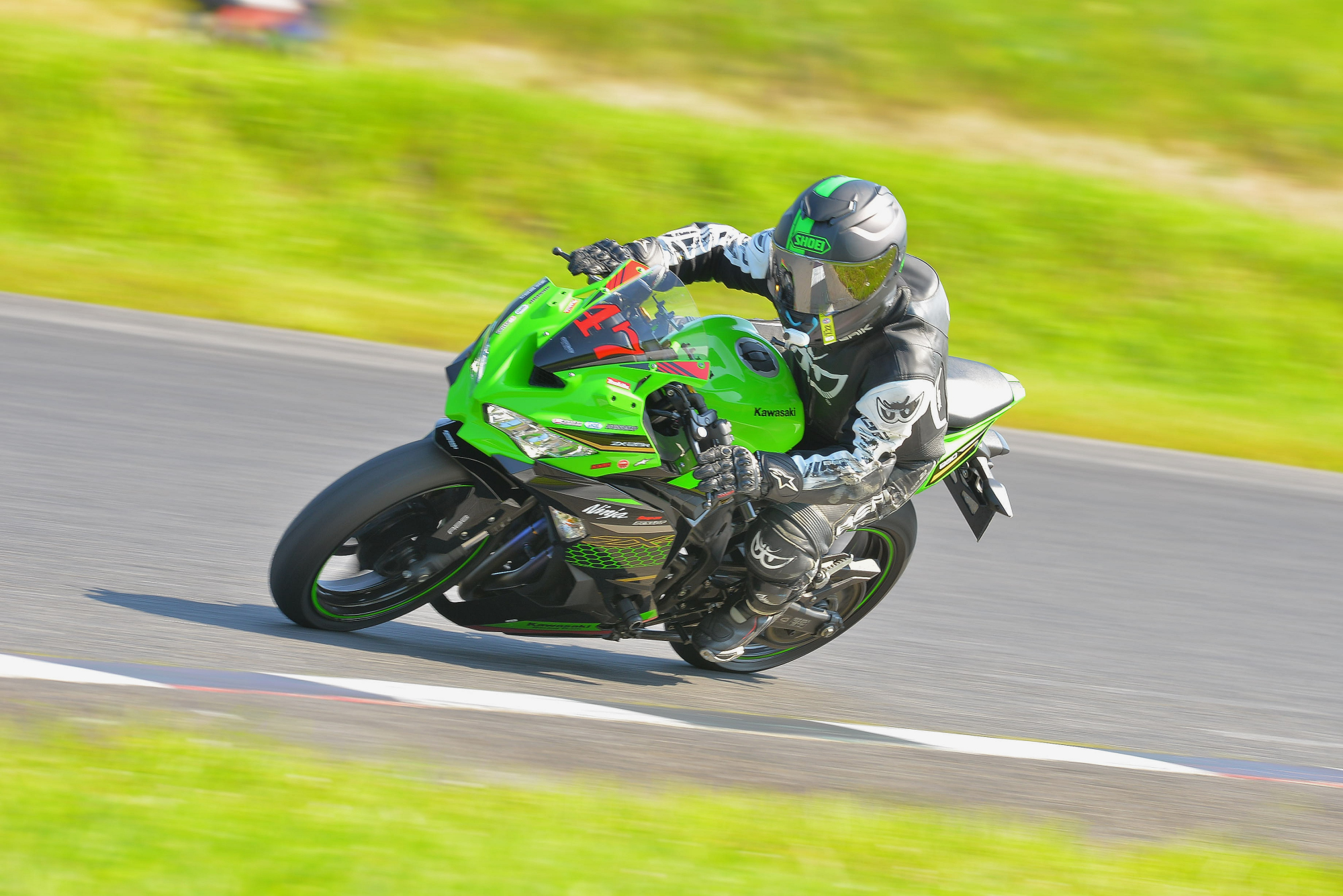 D8J_0844.JPG