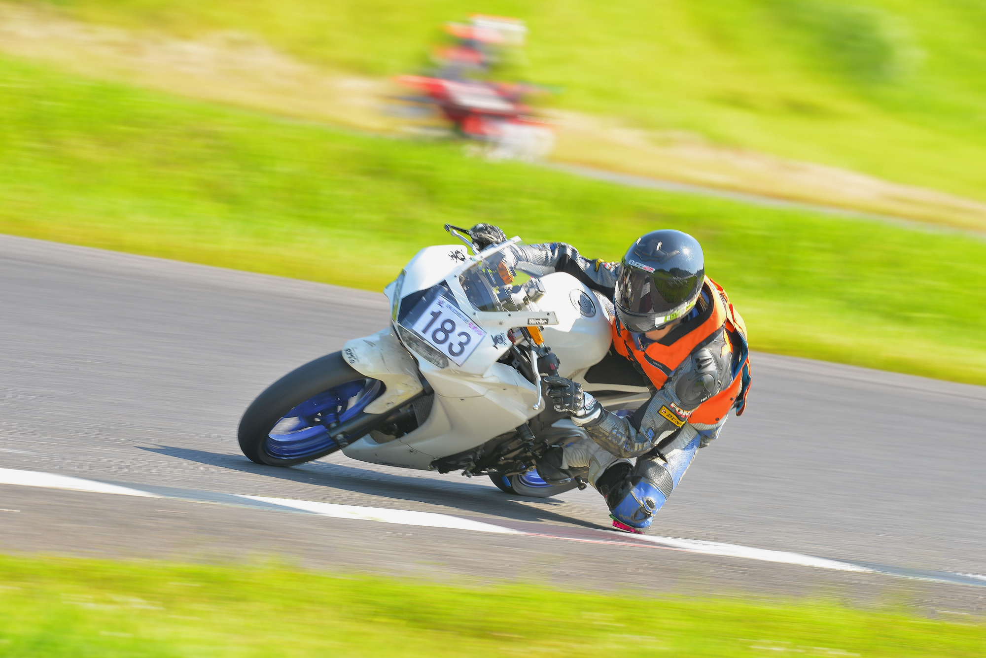 D8J_0881.JPG