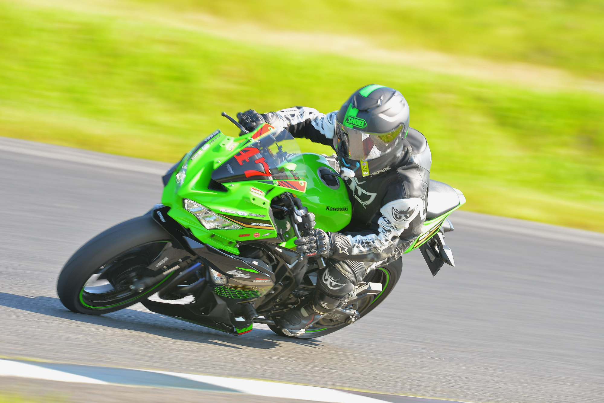 D8J_0888.JPG