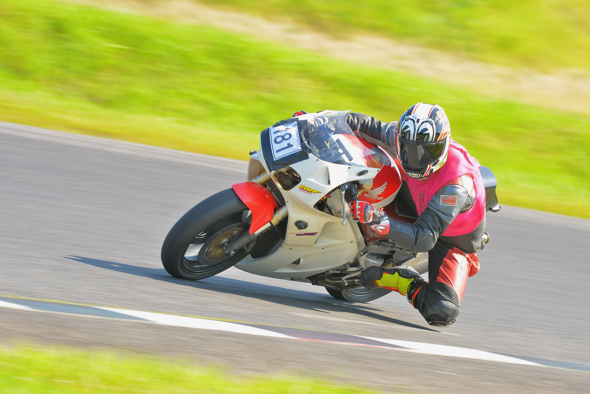D8J_0908.JPG