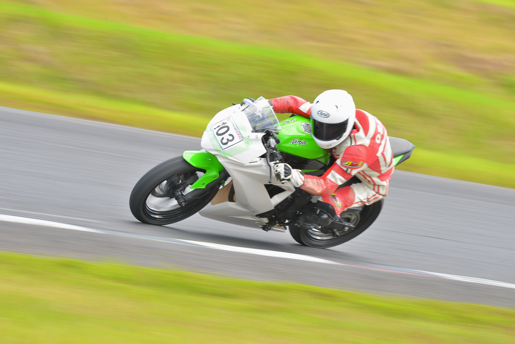 D8J_1484.JPG