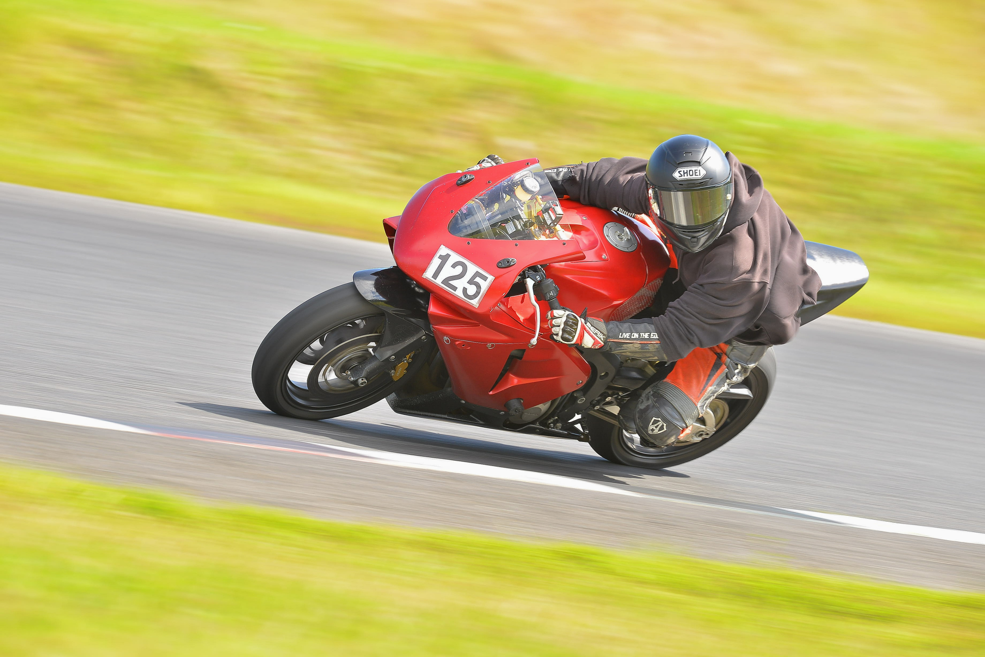 D8J_1509.JPG