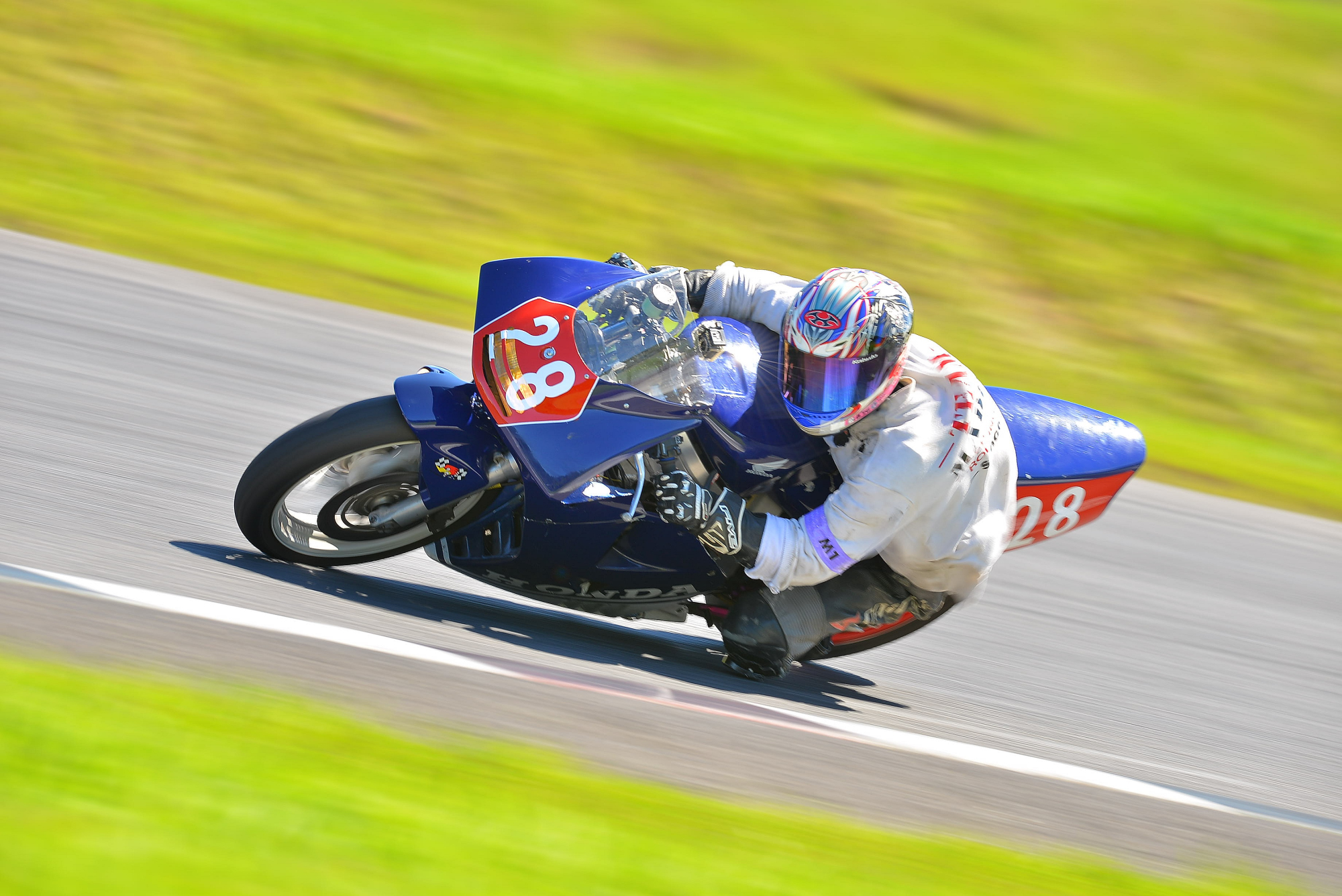 D8J_0041.JPG