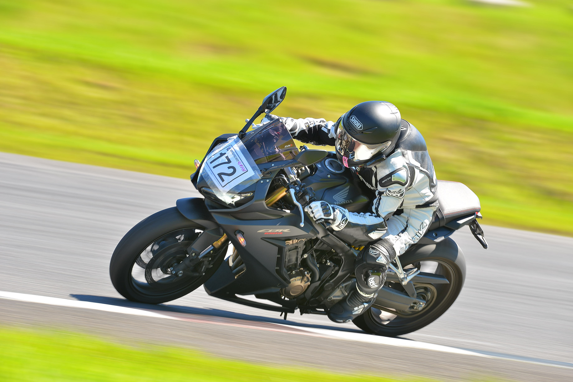D8J_0058.JPG