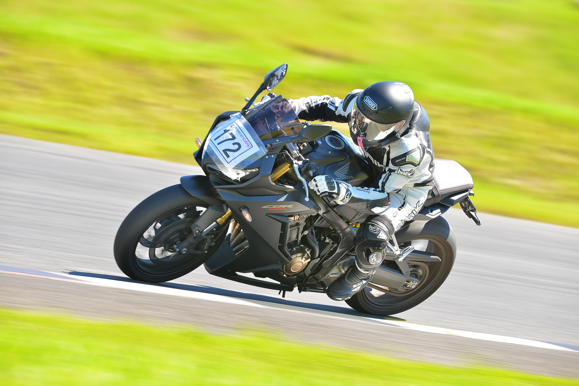 D8J_0106.JPG