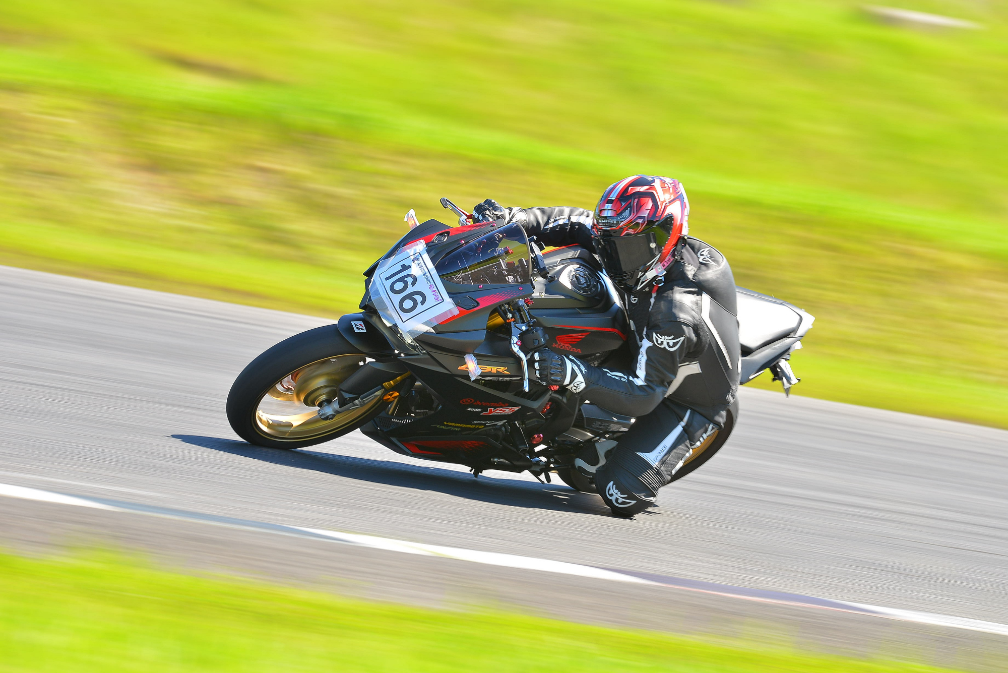 D8J_0203.JPG