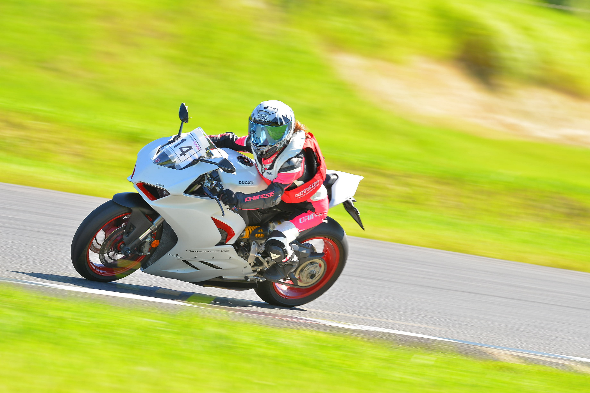 D8J_0291.JPG