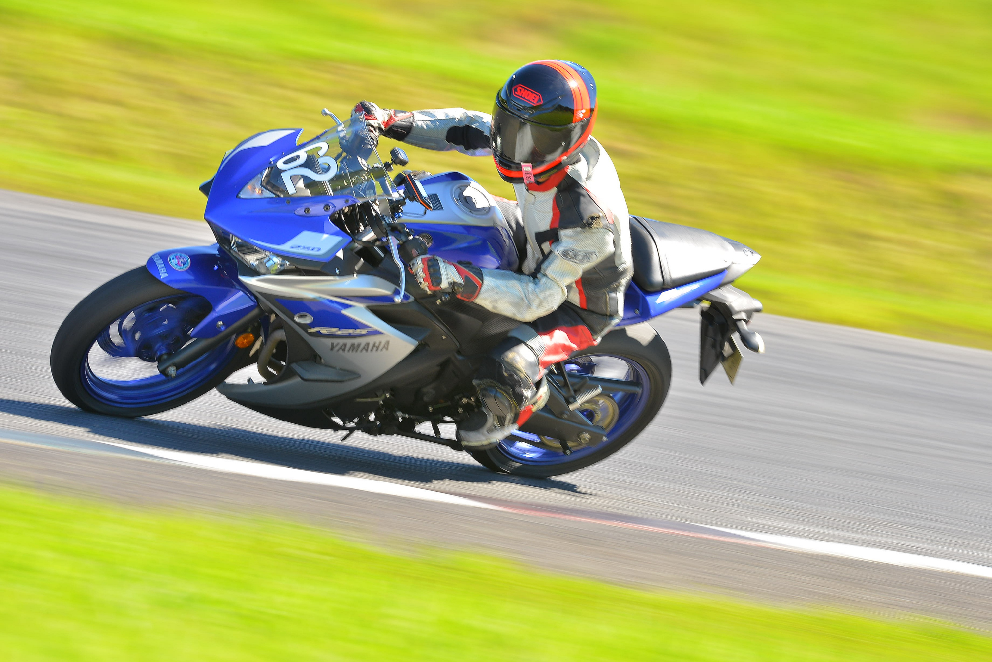 D8J_0242.JPG