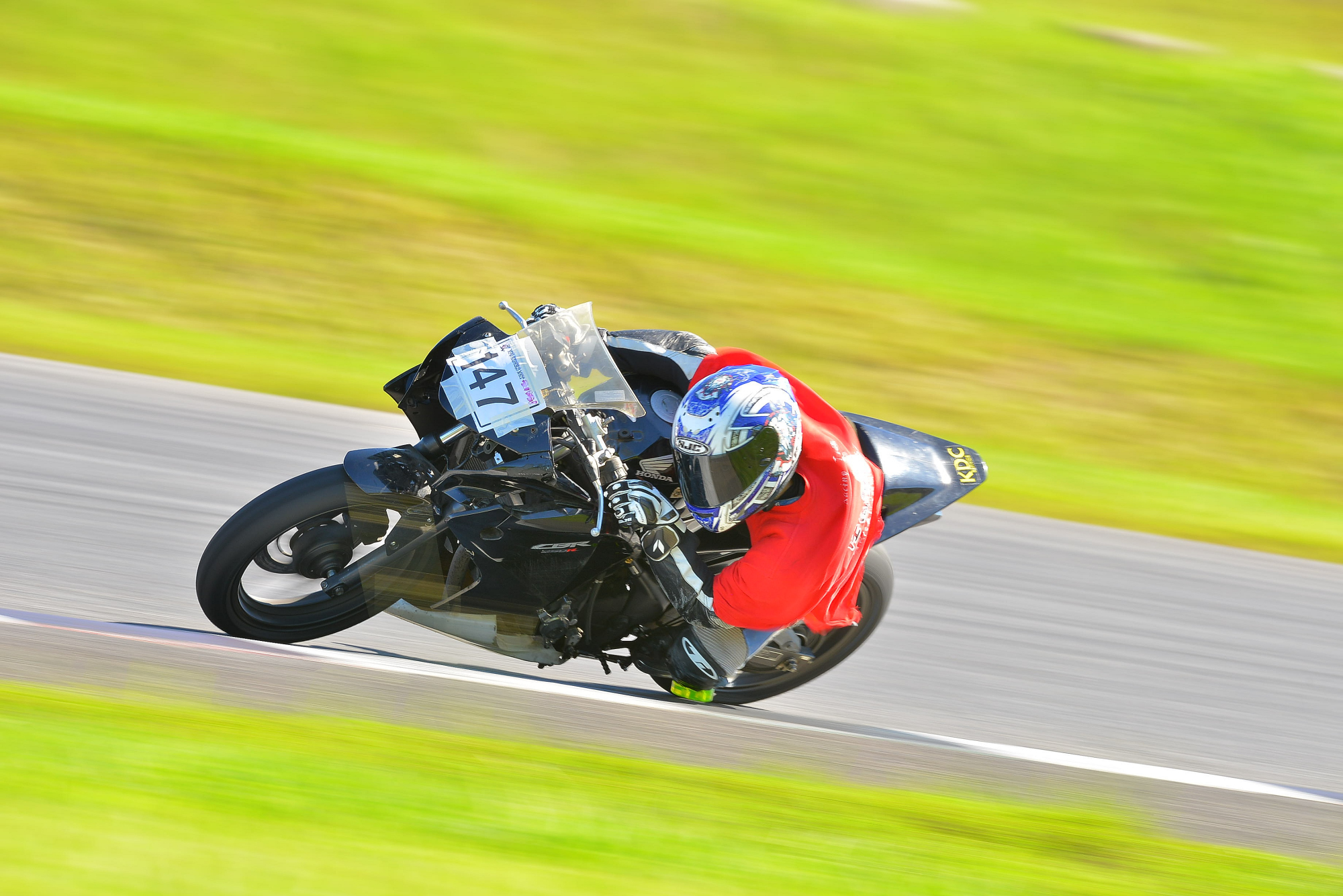 D8J_0350.JPG