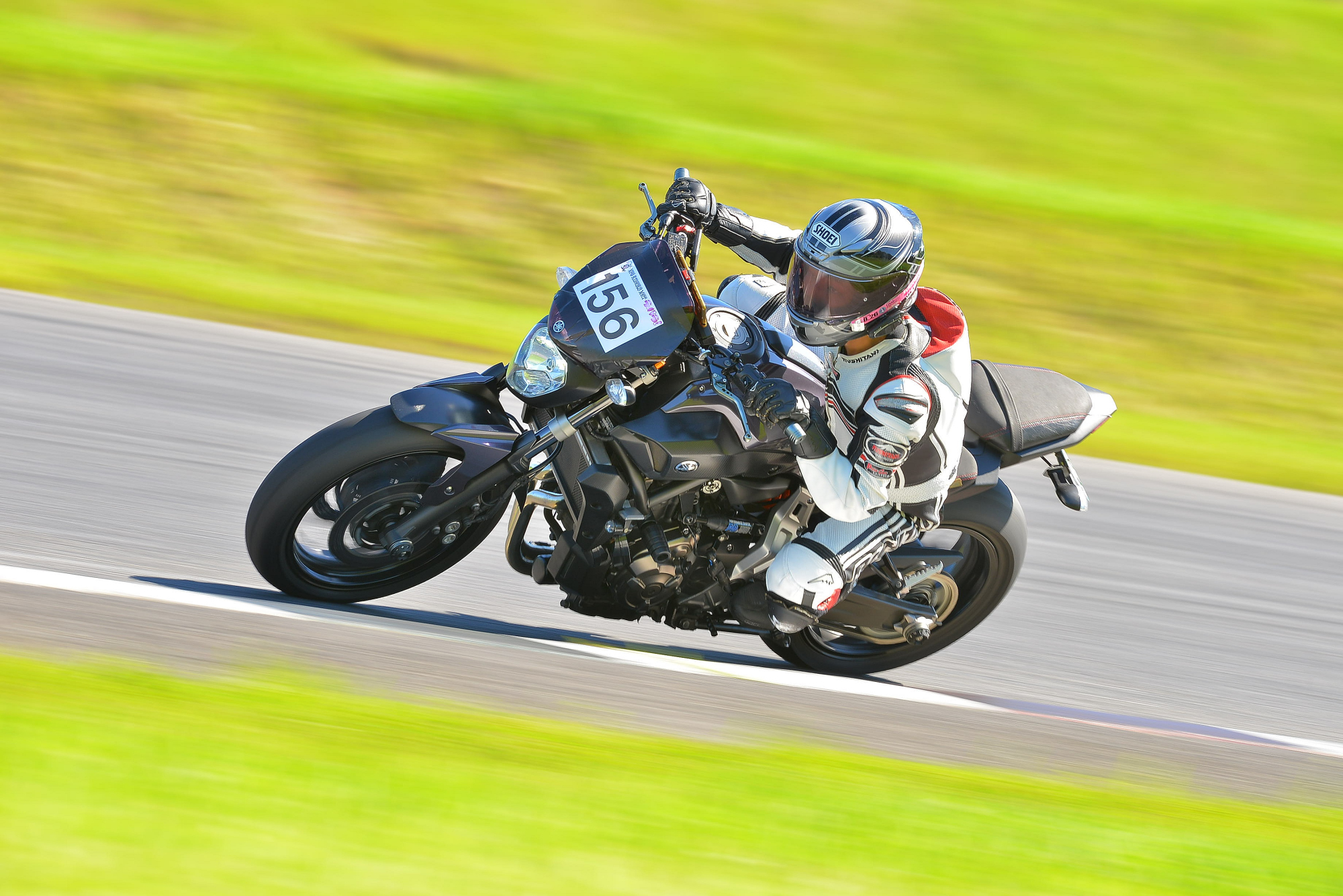 D8J_0371.JPG