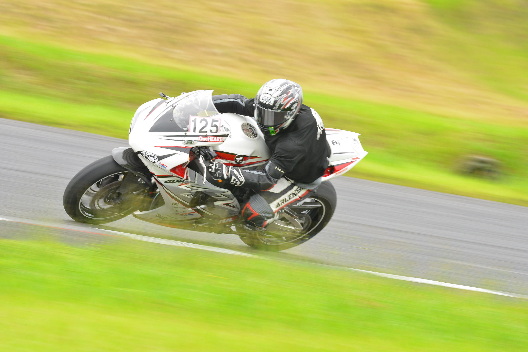 D8J_0061.JPG