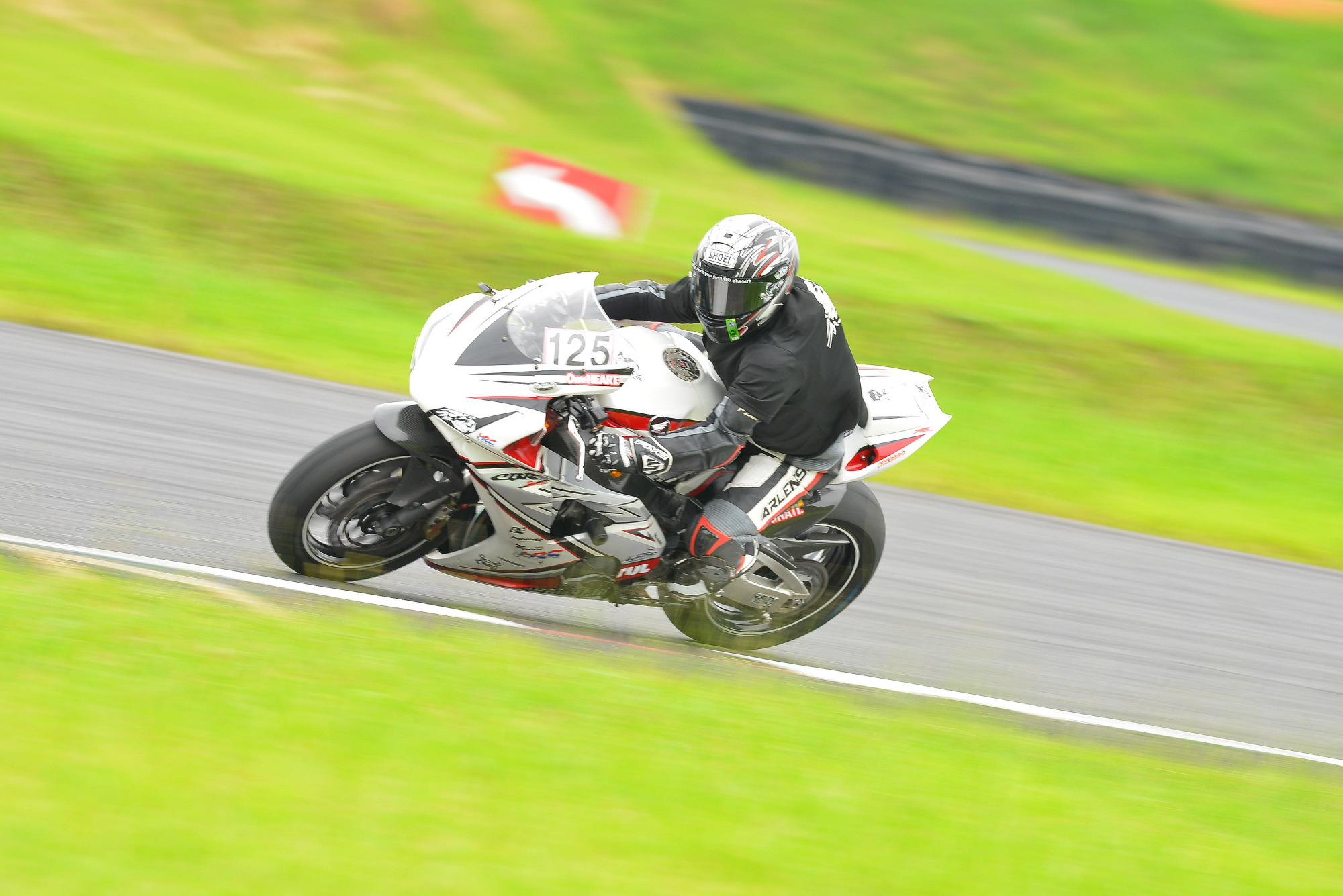 D8J_0199.JPG