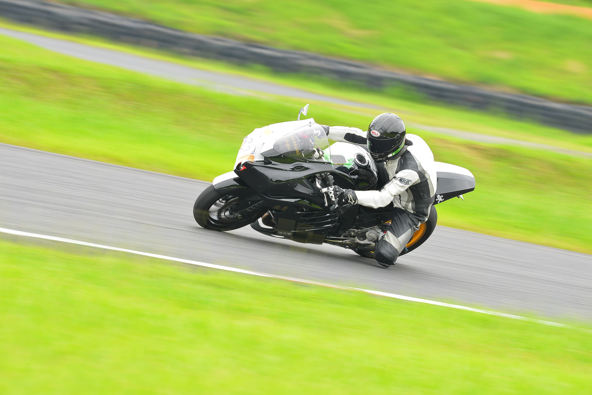 D8J_0203.JPG