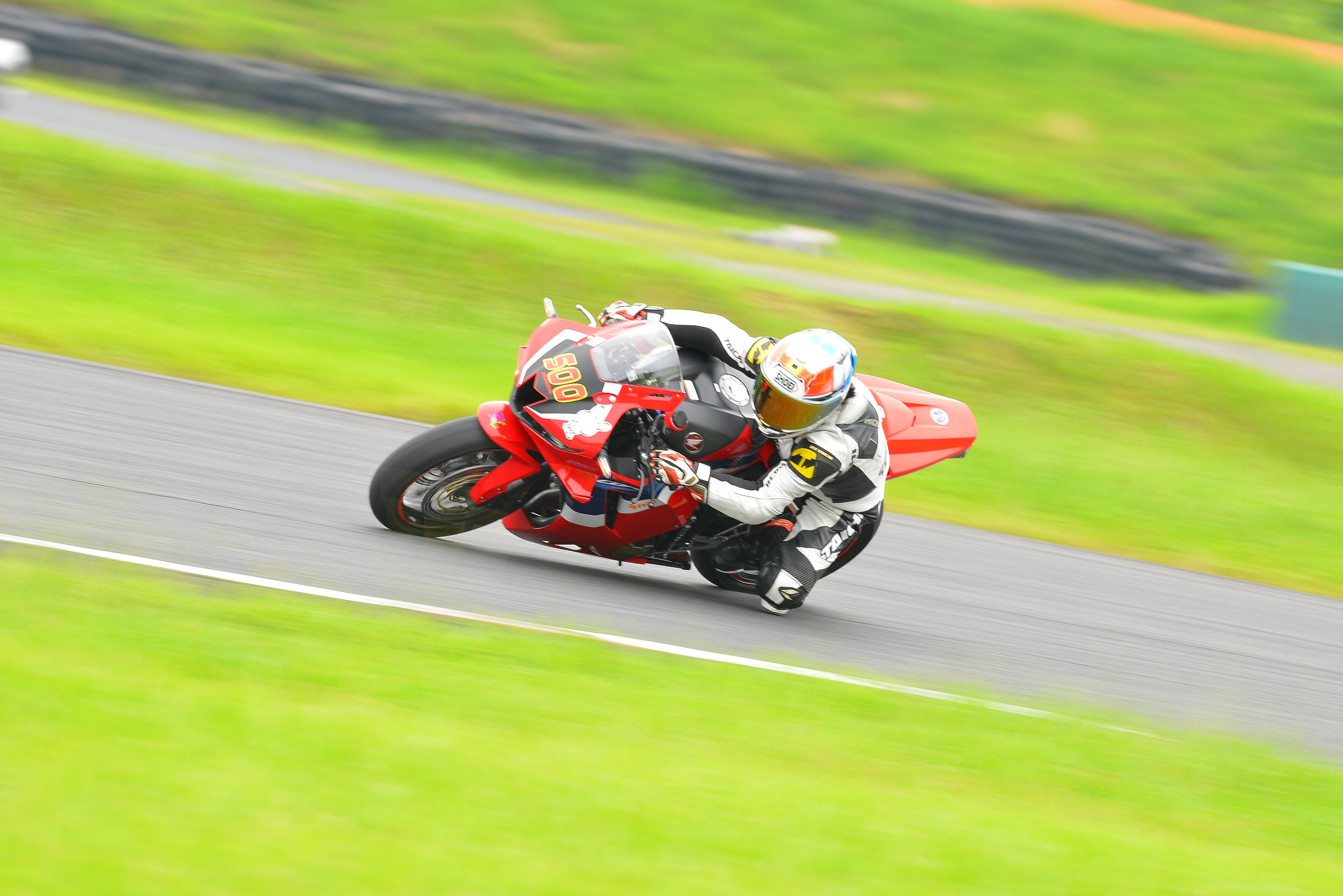 D8J_0211.JPG
