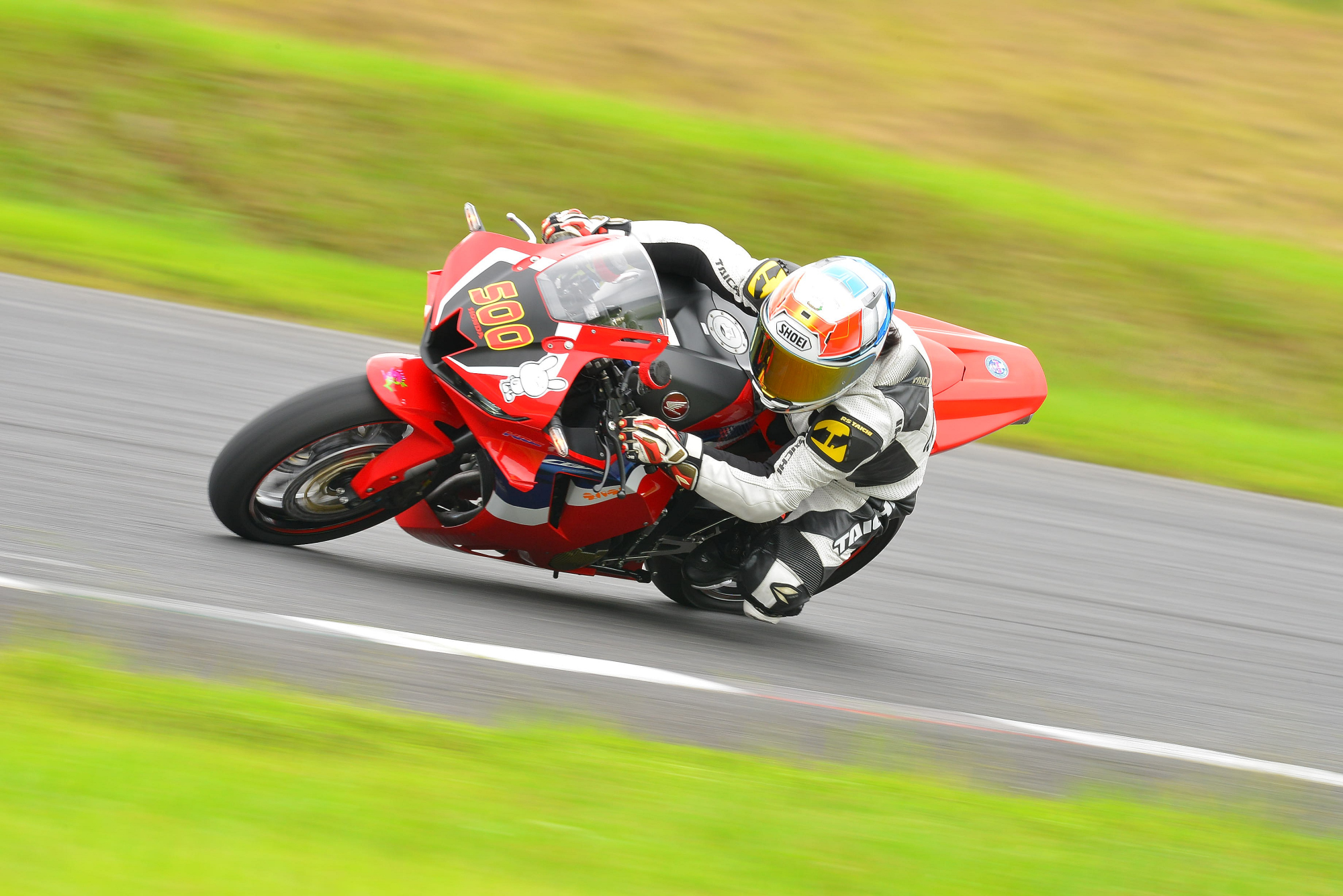 D8J_0221.JPG