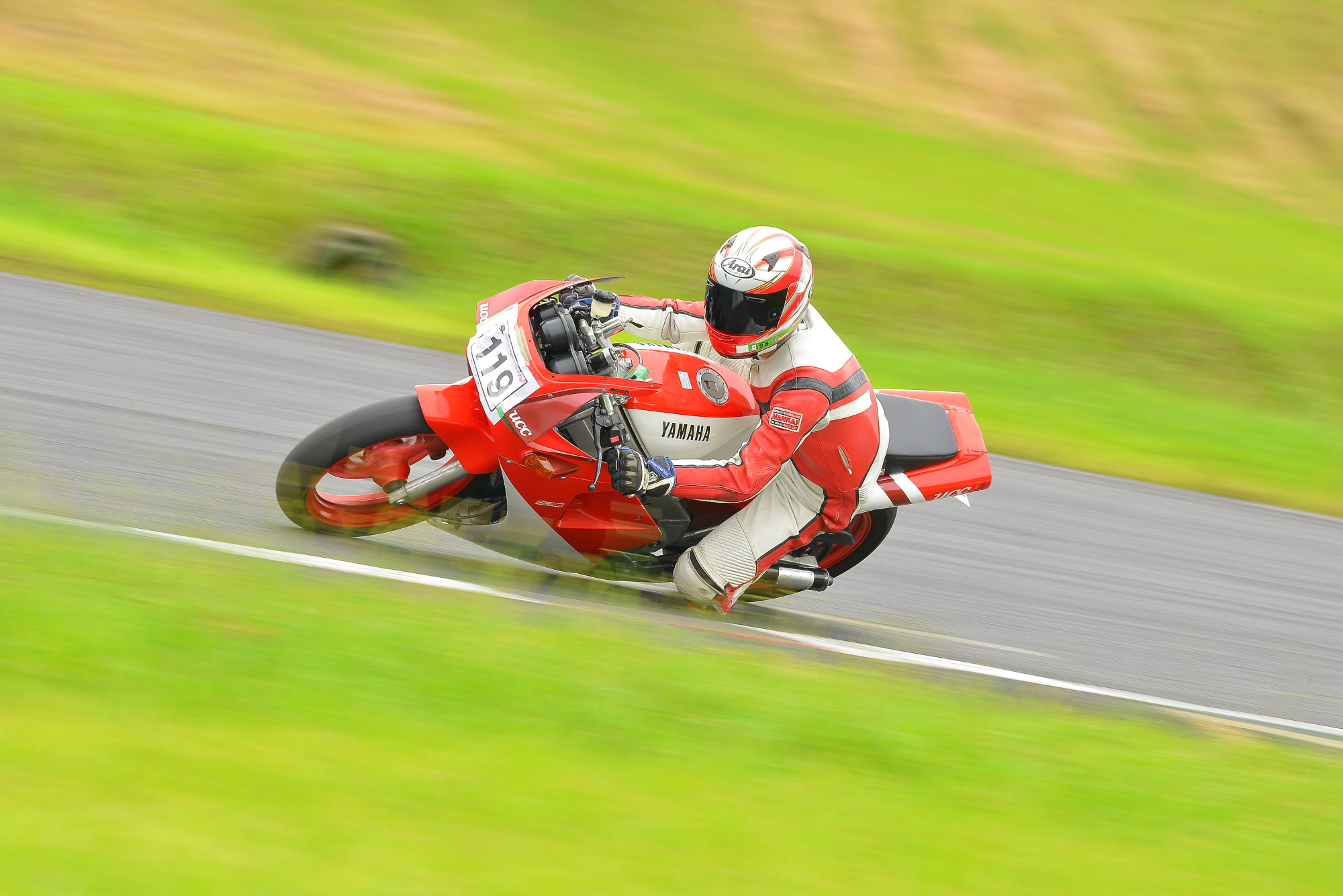 D8J_0222.JPG