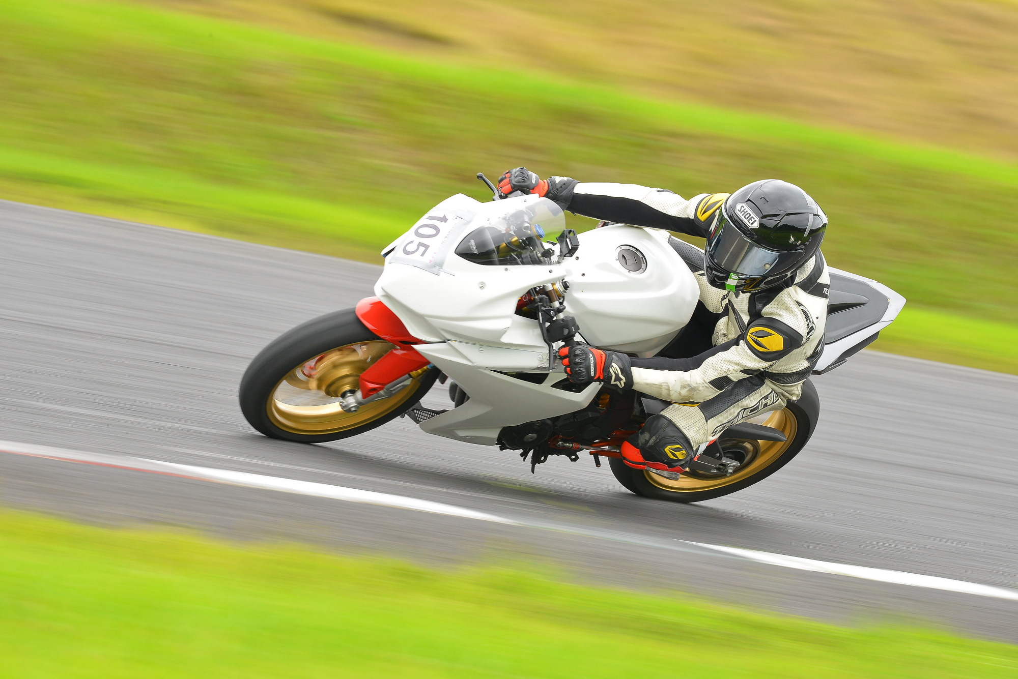 D8J_0229.JPG