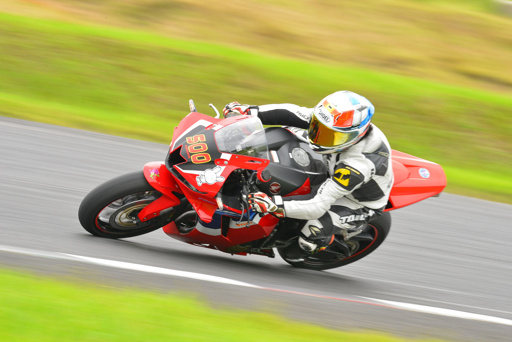 D8J_0250.JPG