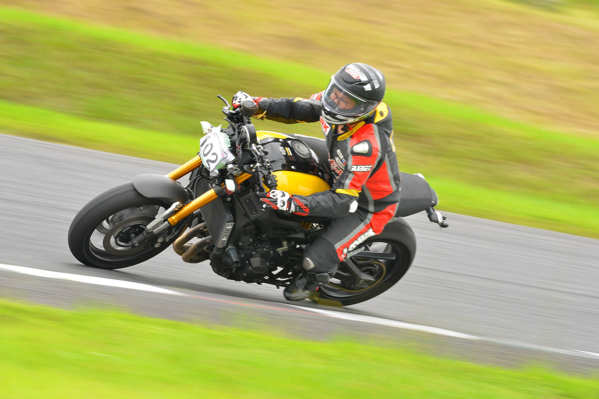 D8J_0251.JPG