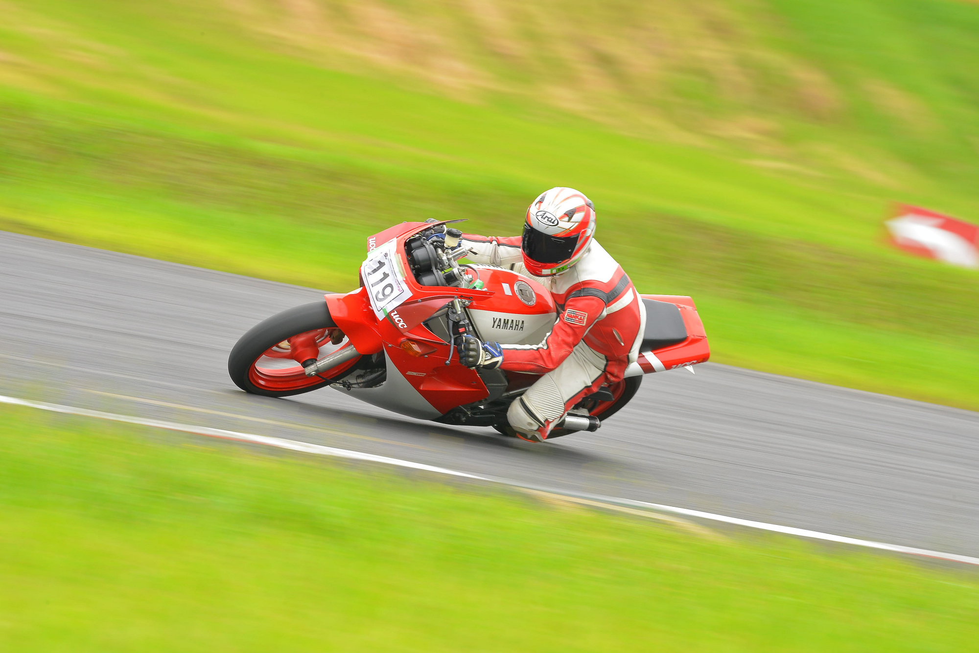D8J_0271.JPG
