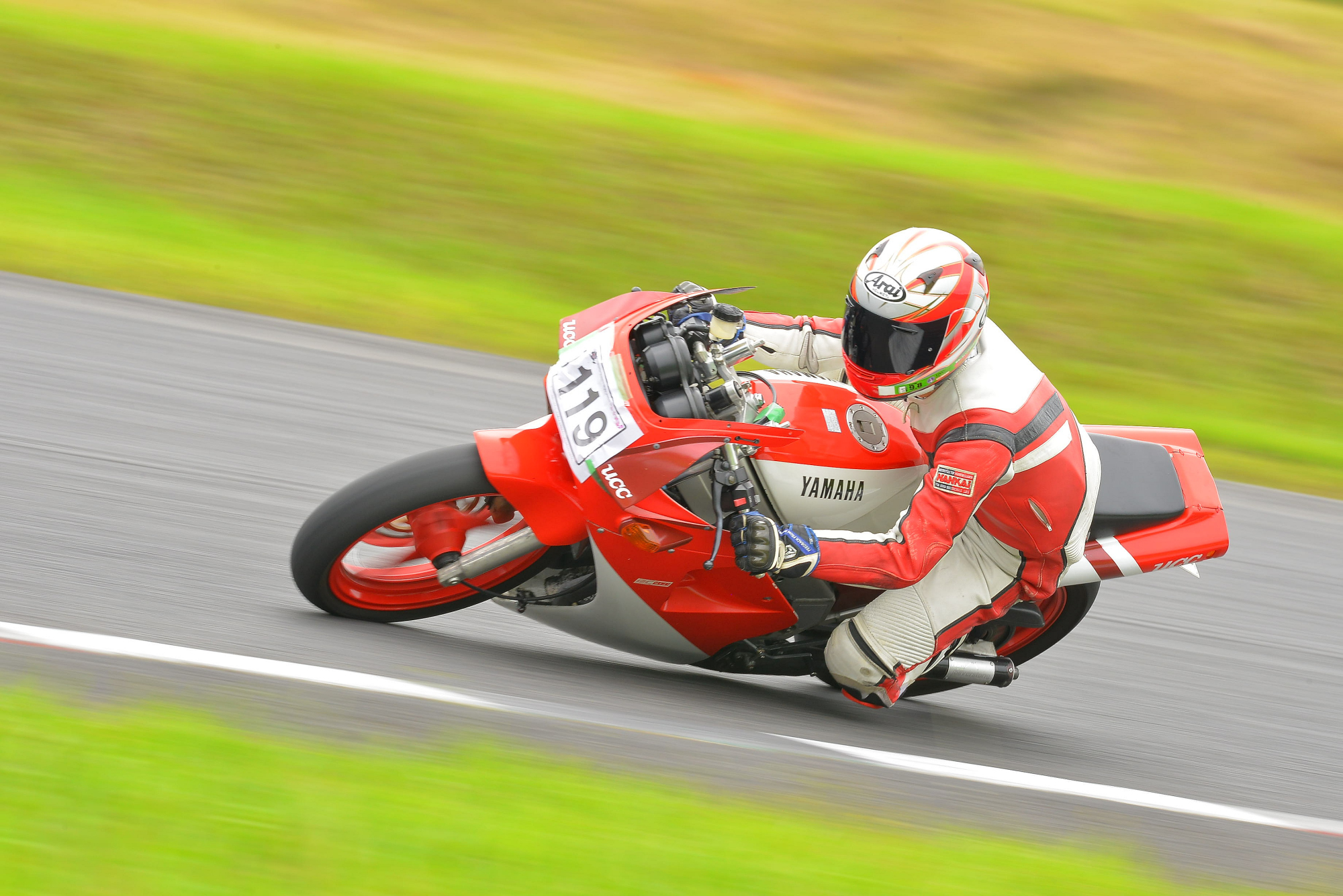 D8J_0272.JPG