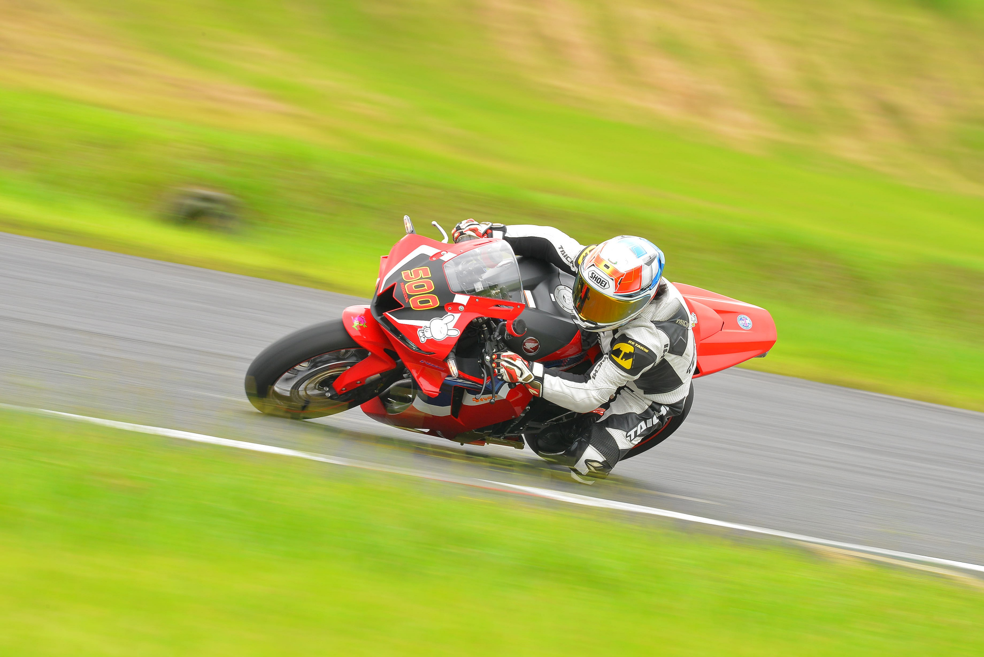 D8J_0277.JPG