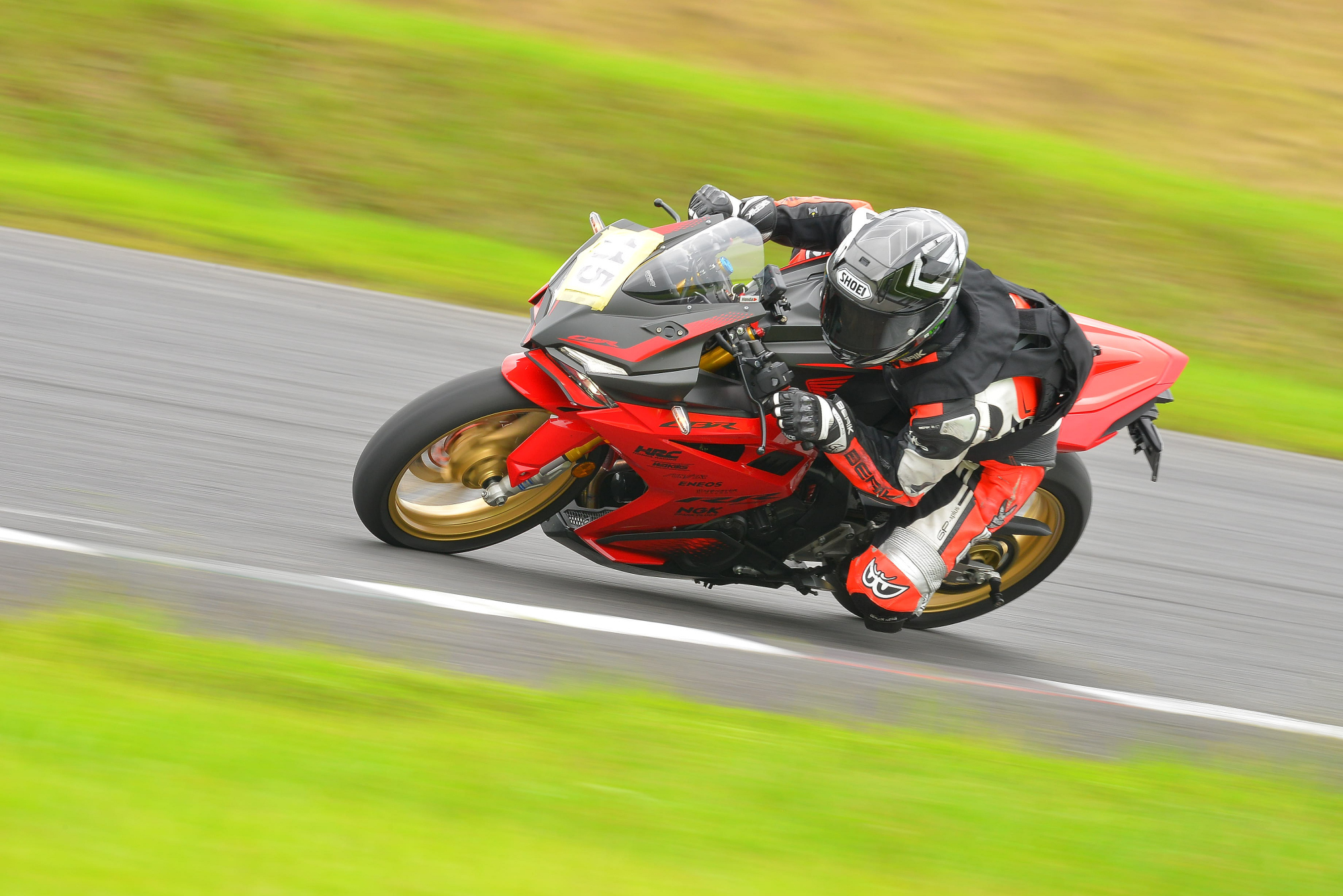 D8J_0293.JPG