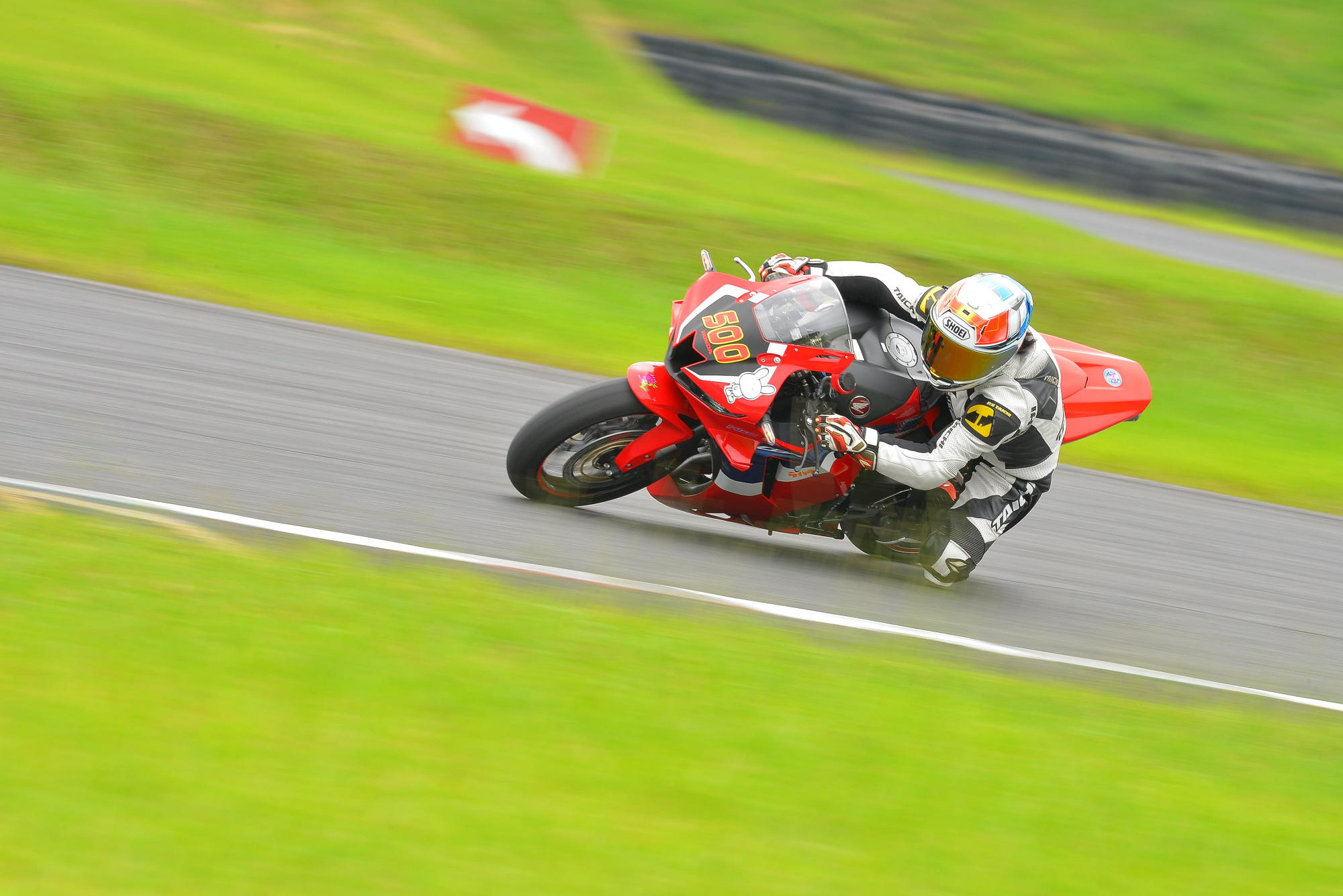 D8J_0295.JPG